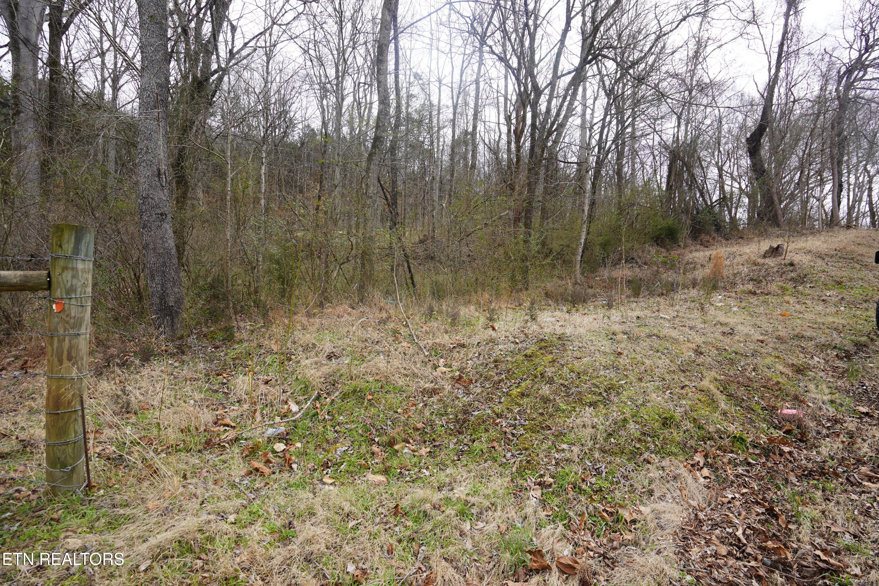 Oakwood St Property Photo