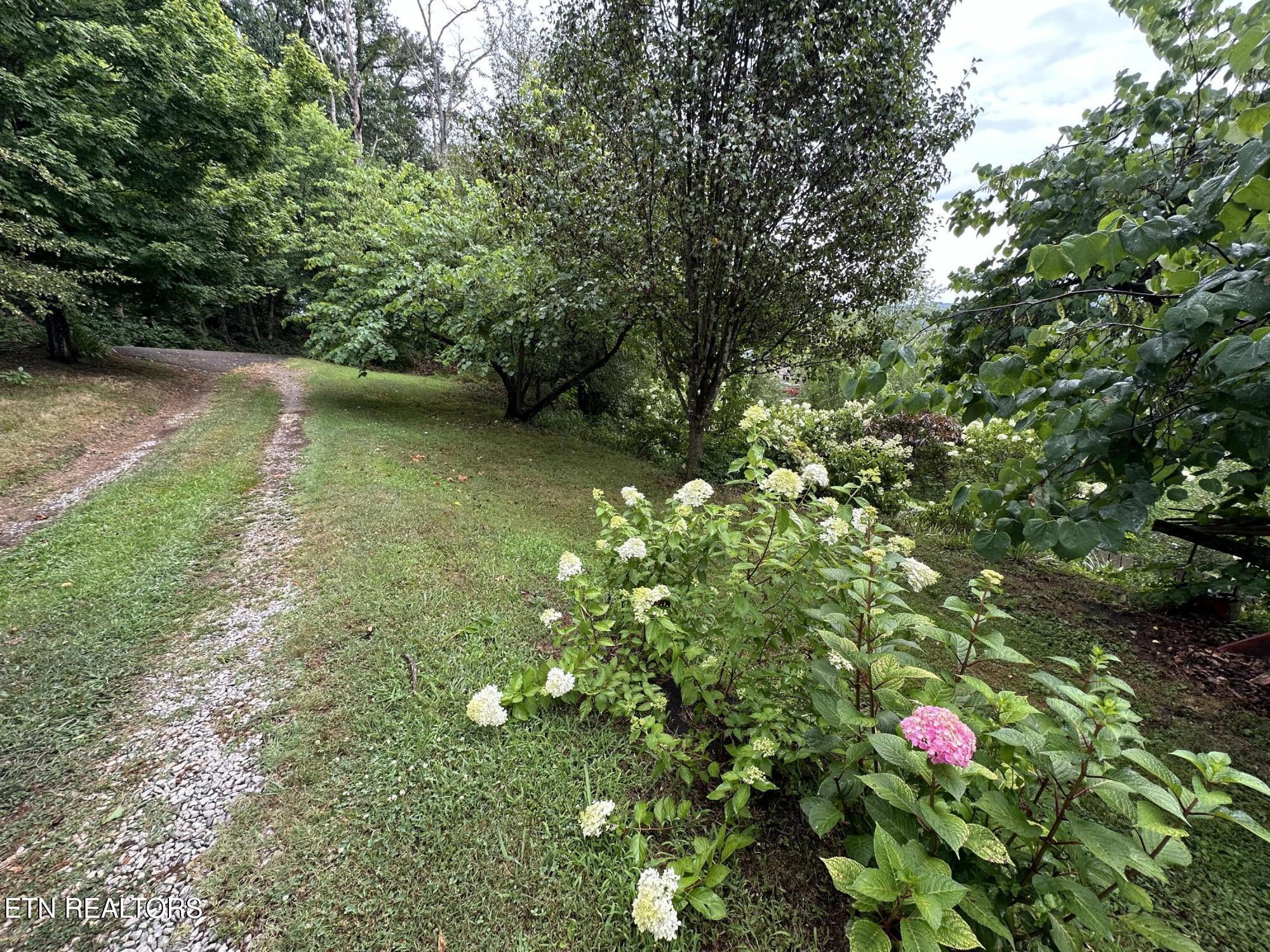 3855 Catewright Rd Property Photo 5