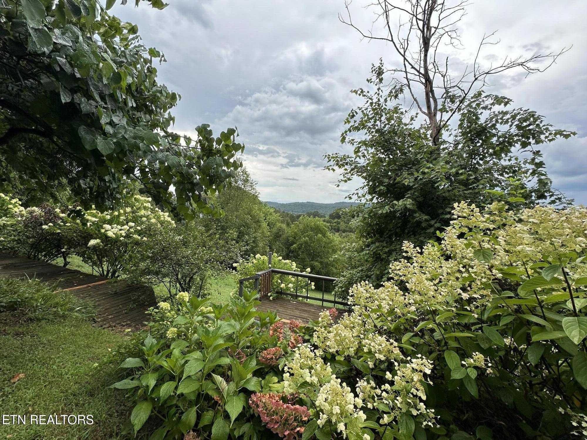 3855 Catewright Rd Property Photo 6