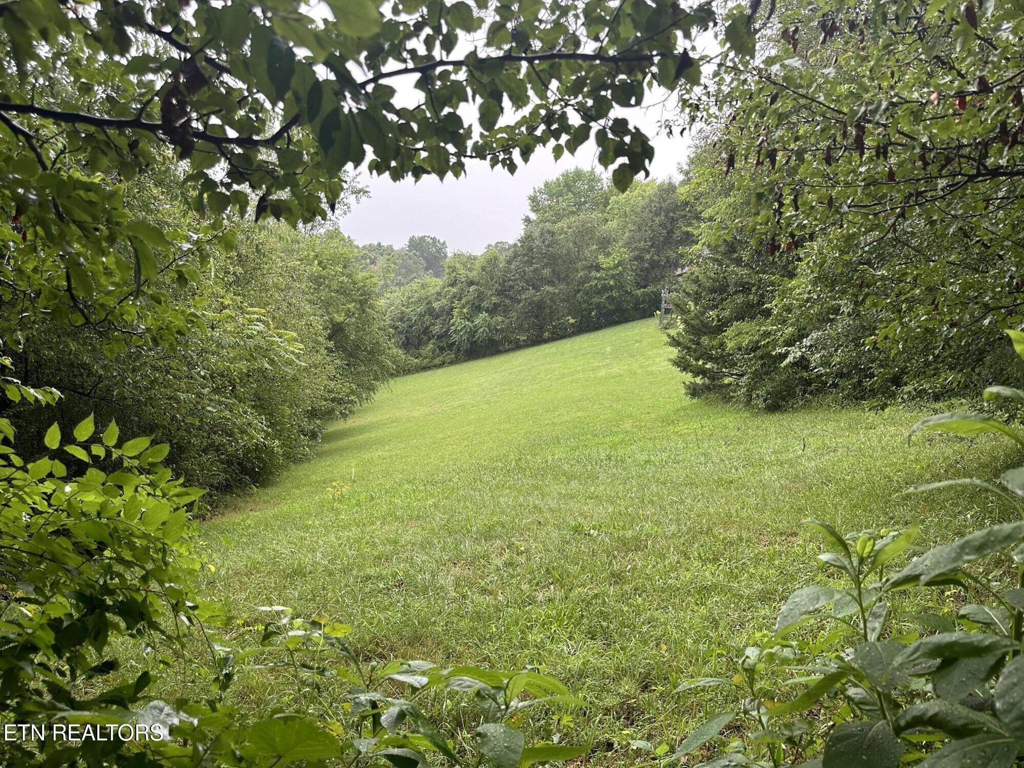 3855 Catewright Rd Property Photo 28