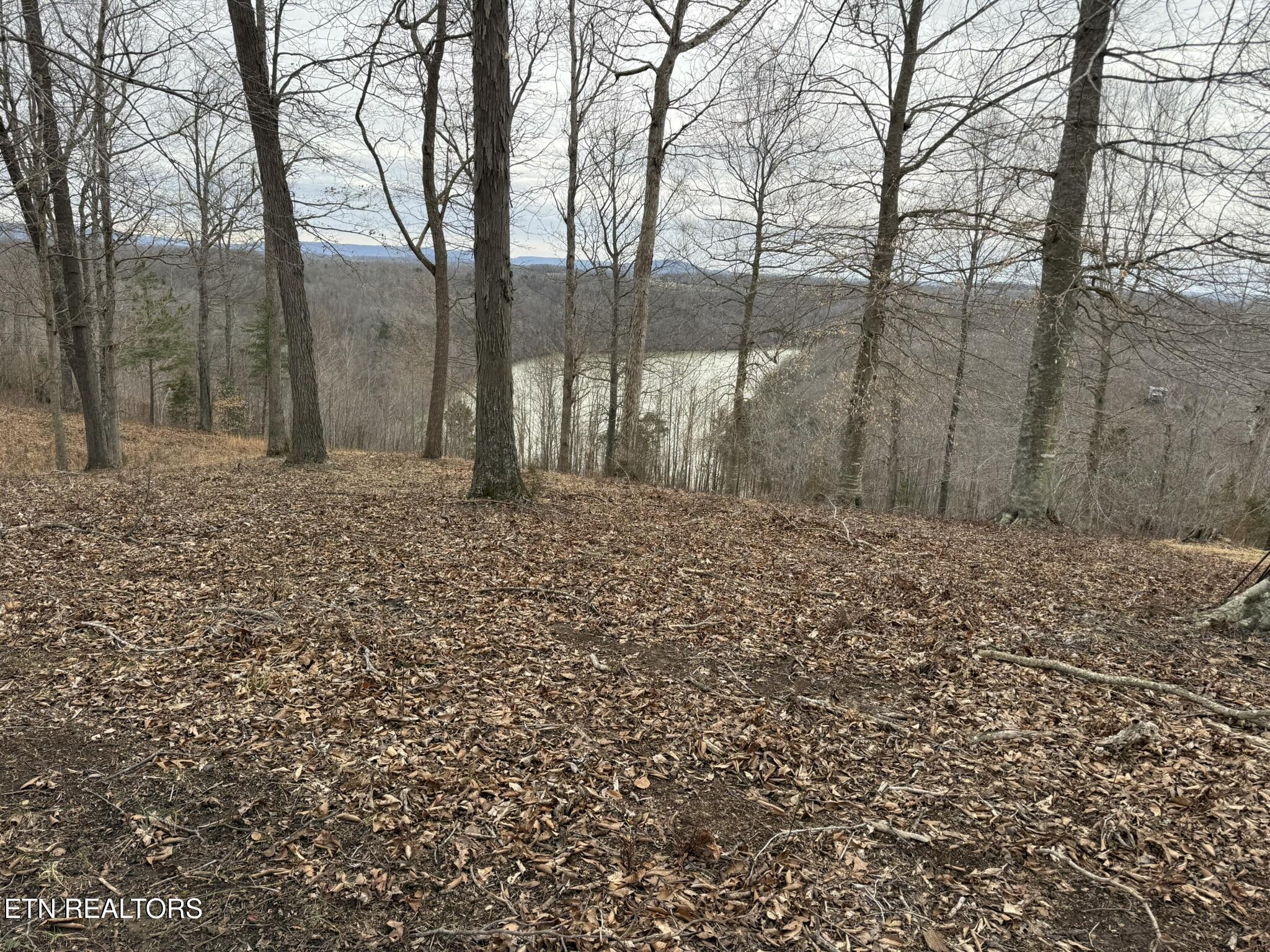 Lot 7 Amonett Rd Property Photo