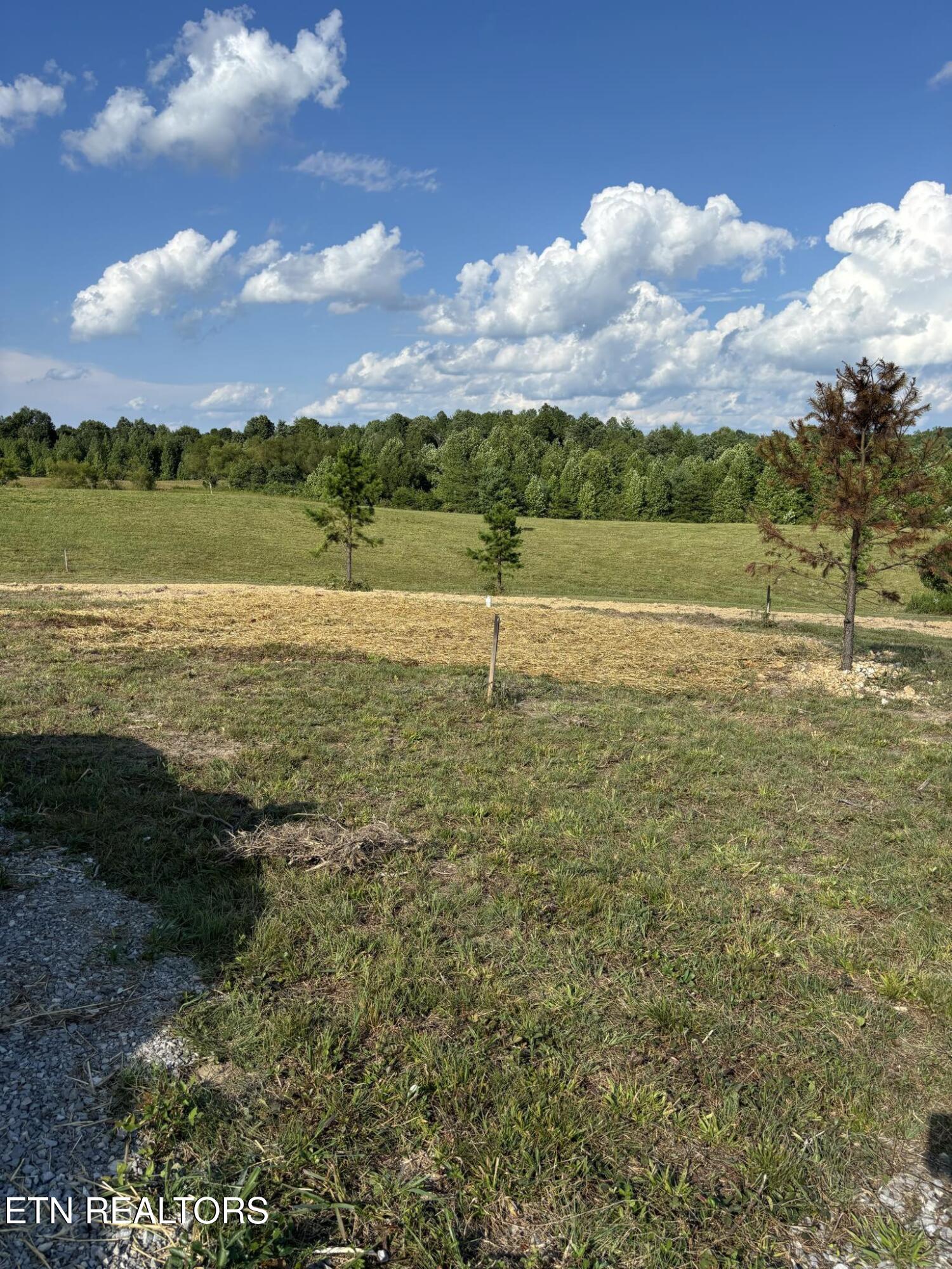 608 Zenith Ridge Way Property Photo