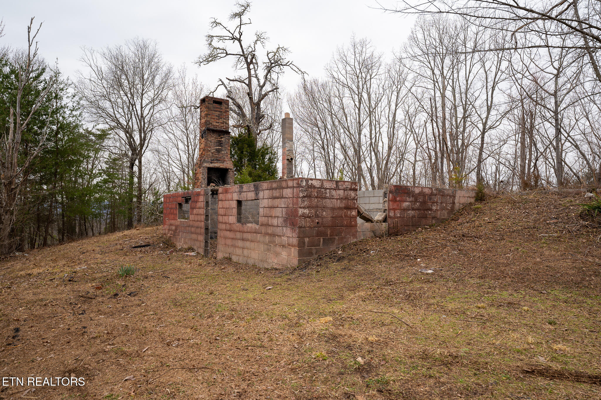 290 Mary Brown Lane Property Photo