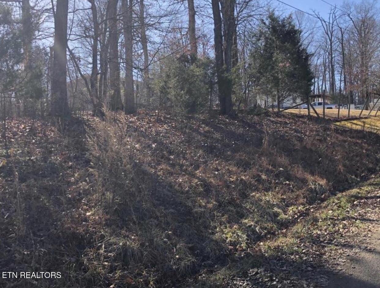 126 Holber Rd Property Photo