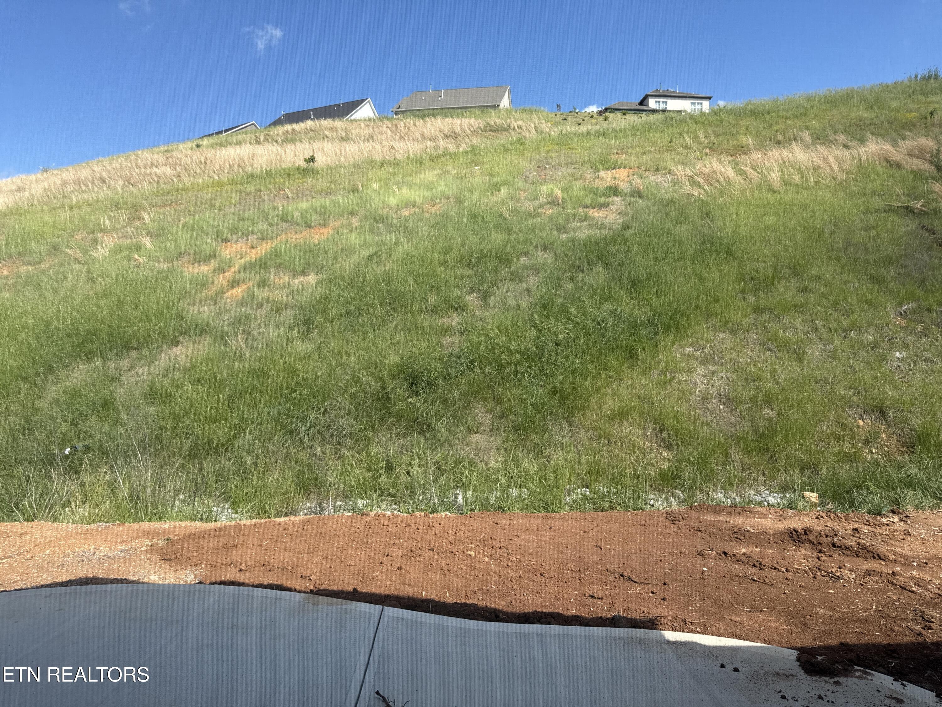 11718 (lot 15) Boston Ivy Lane Property Photo 18