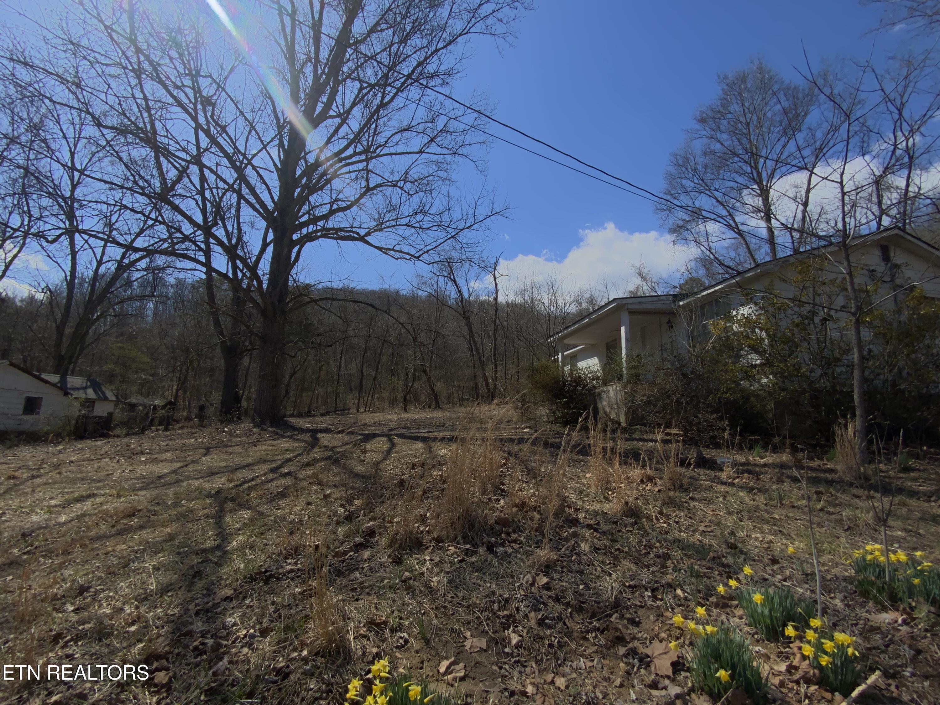 131 Abbie Lane Property Photo 2