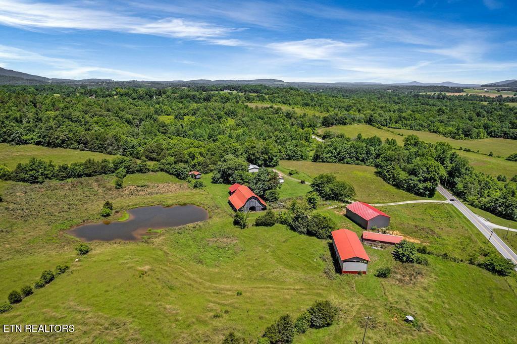 464 Wilder Hwy Property Photo 46