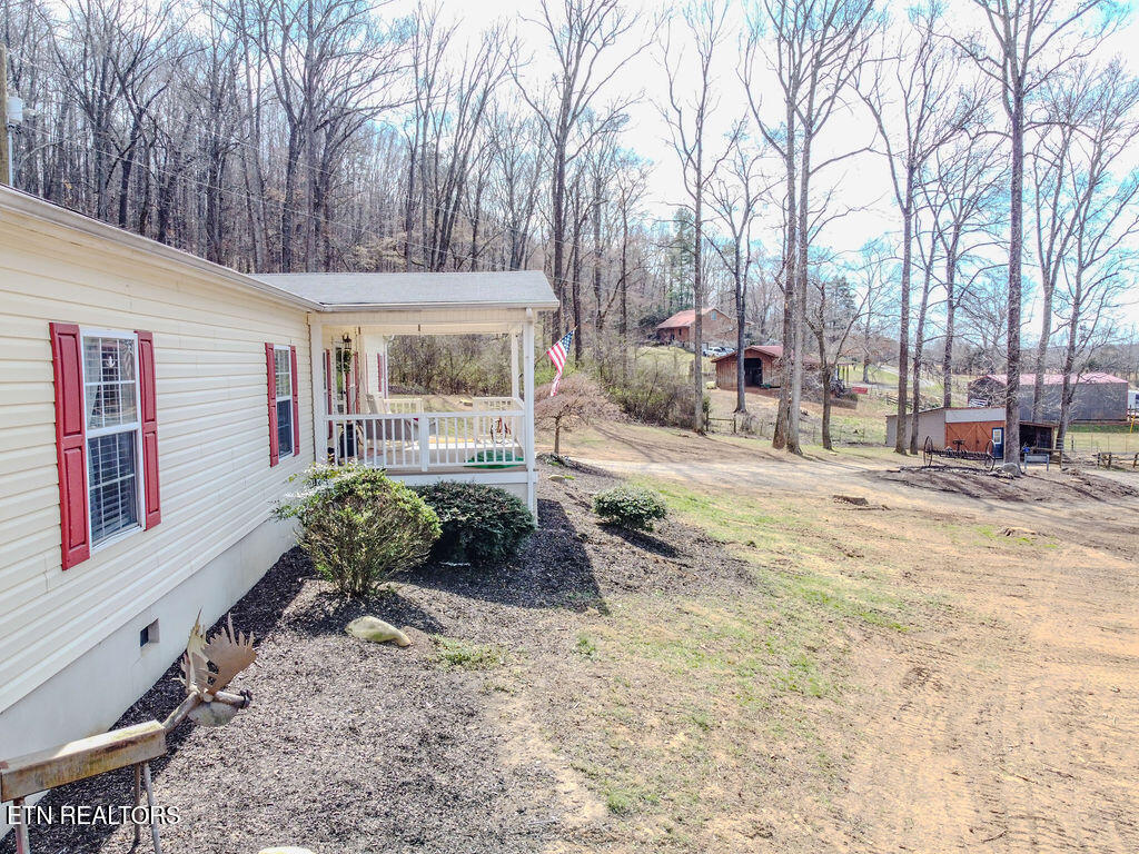 260 County Road 384 Property Photo 11