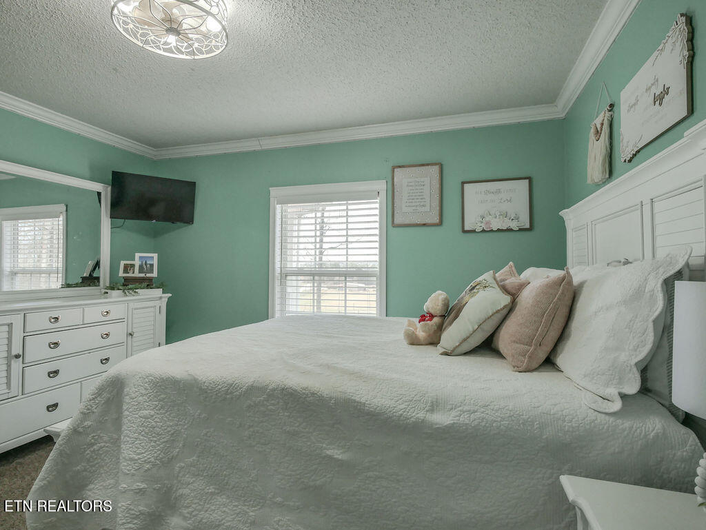 260 County Road 384 Property Photo 42