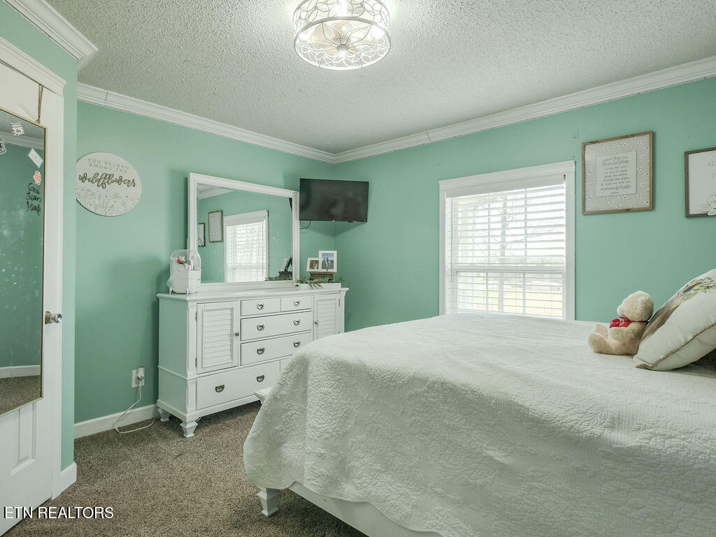 260 County Road 384 Property Photo 45