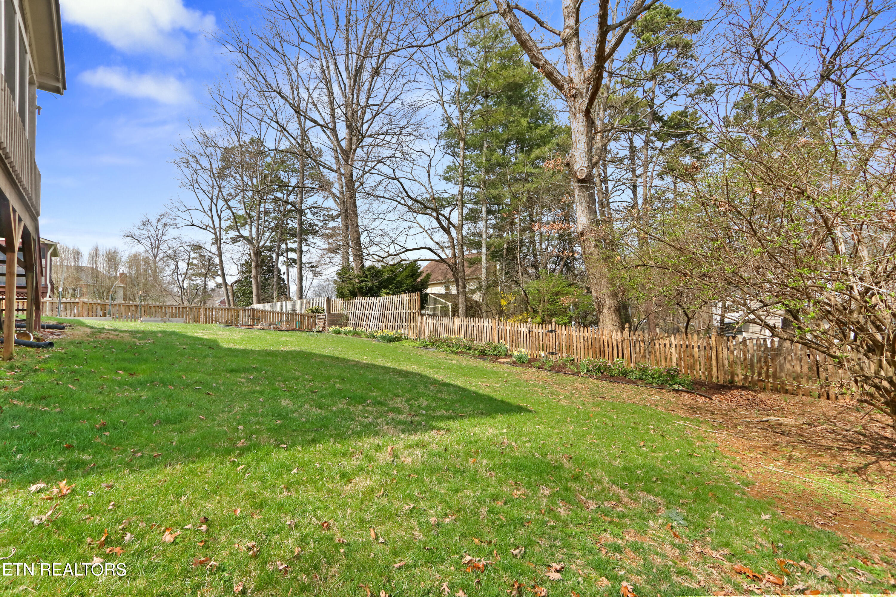9041 Straw Flower Drive Property Photo 49