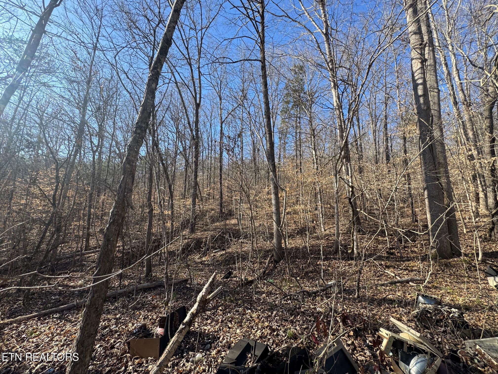 Wolfenbarger Lane Property Photo