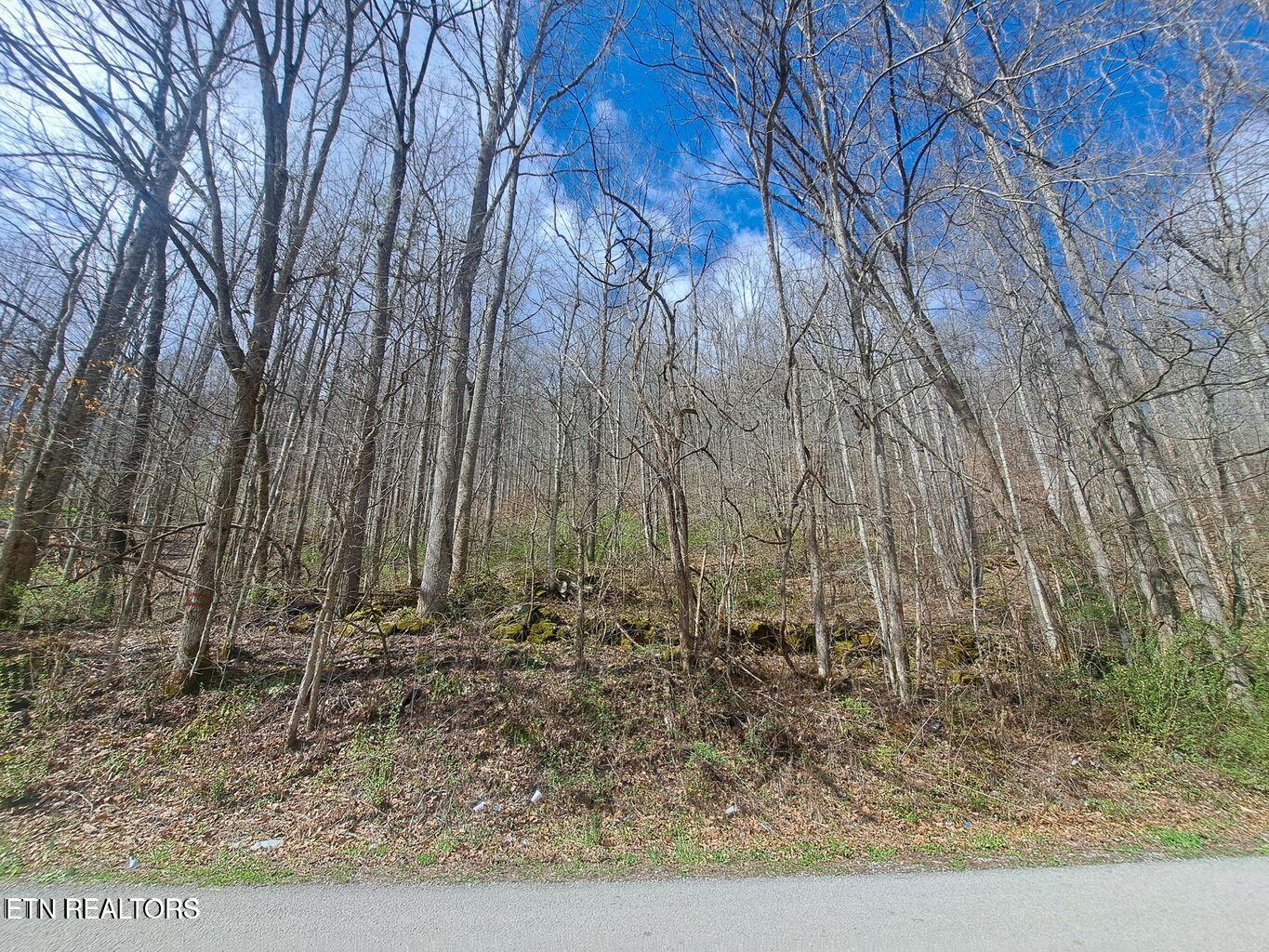 Jakes Branch Rd Property Photo