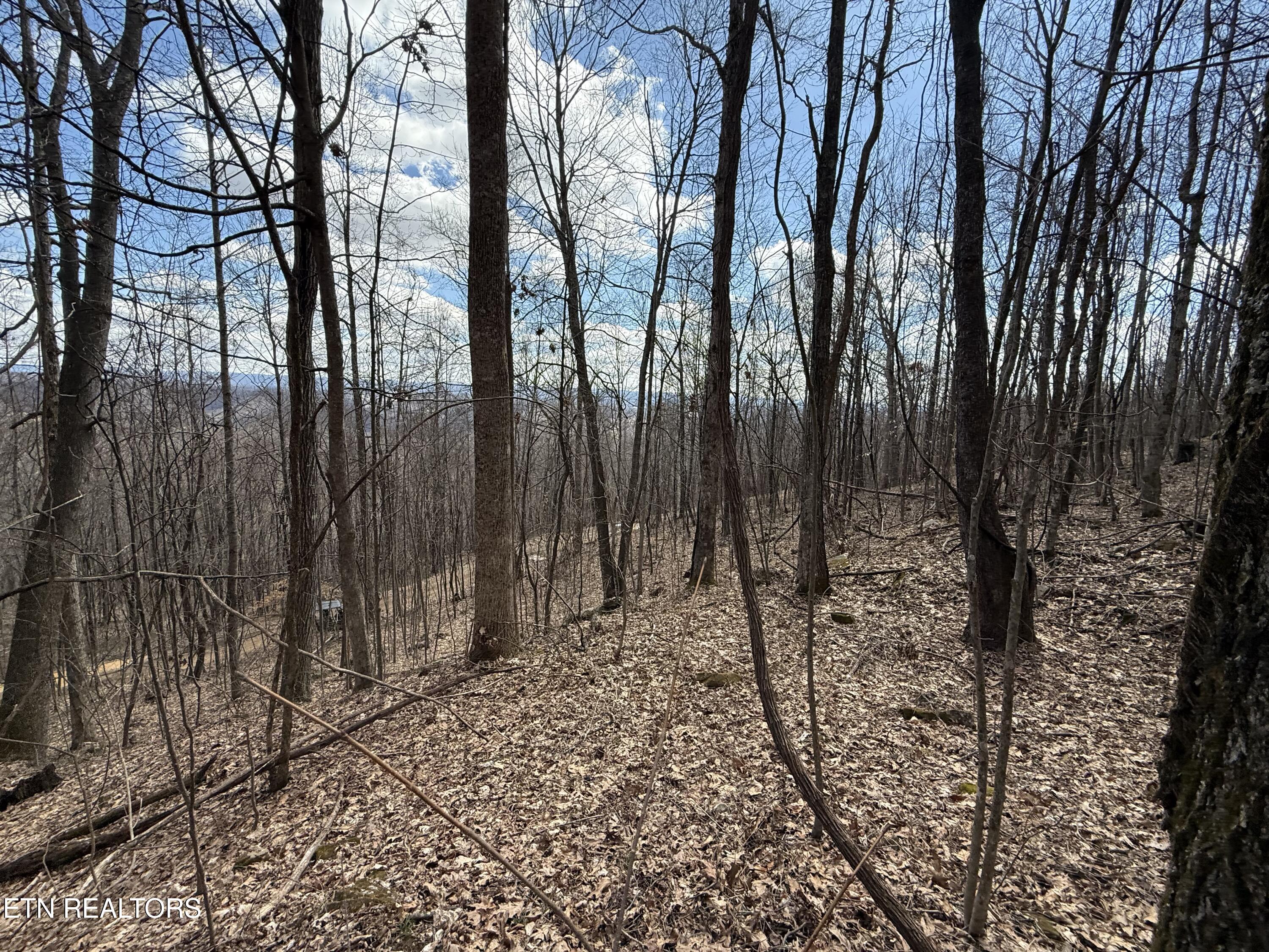Tbd Mountain Springs Rd Property Photo