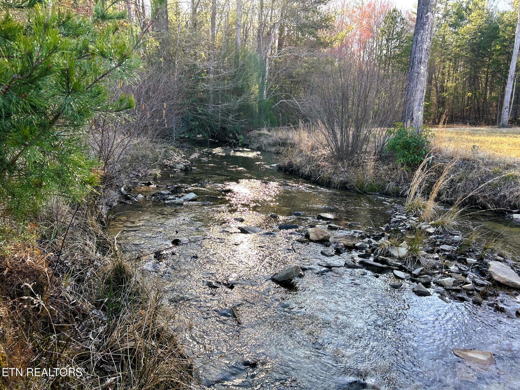 00 Bullet Creek Road Property Photo 1