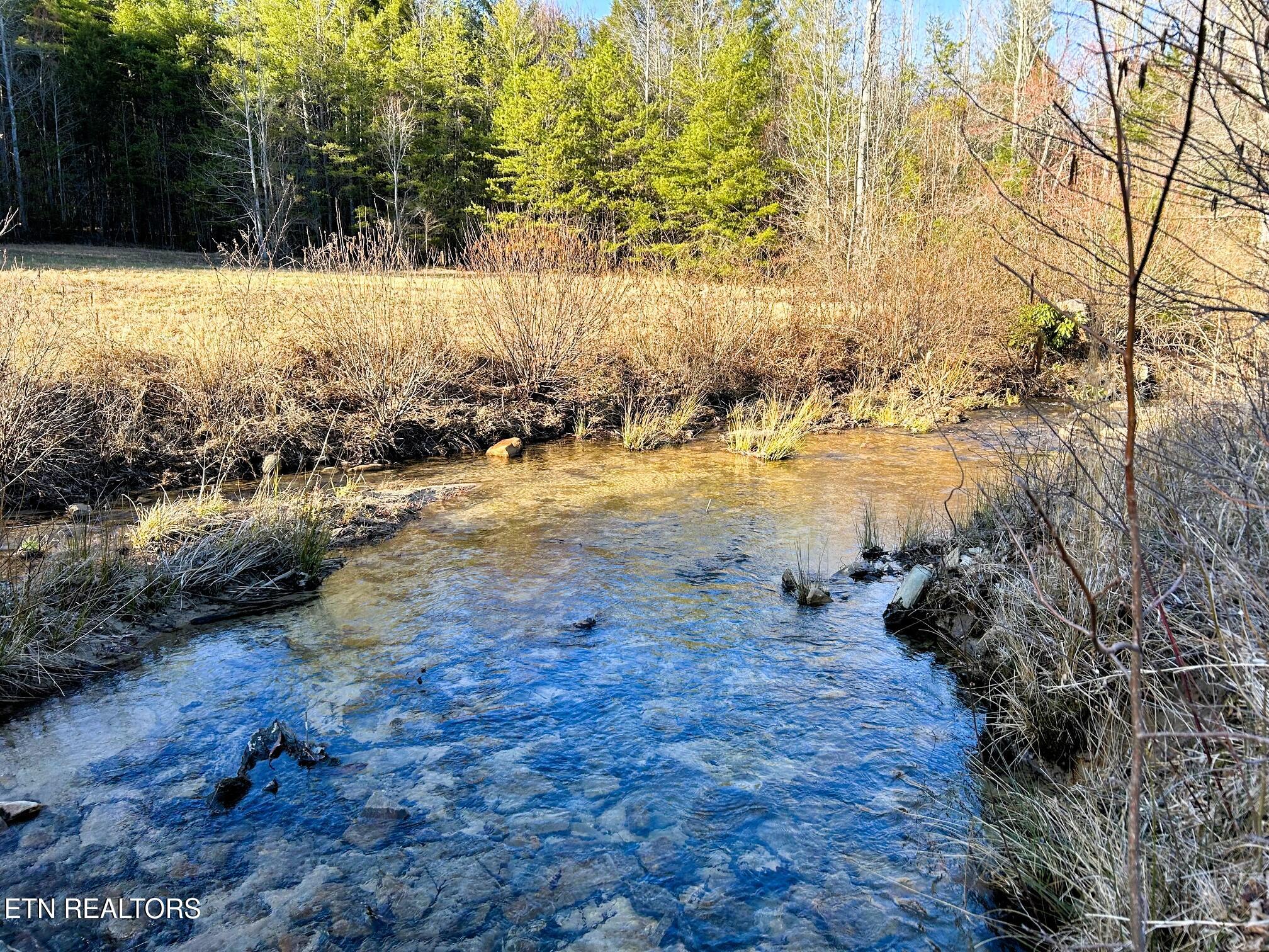 00 Bullet Creek Road Property Photo 2