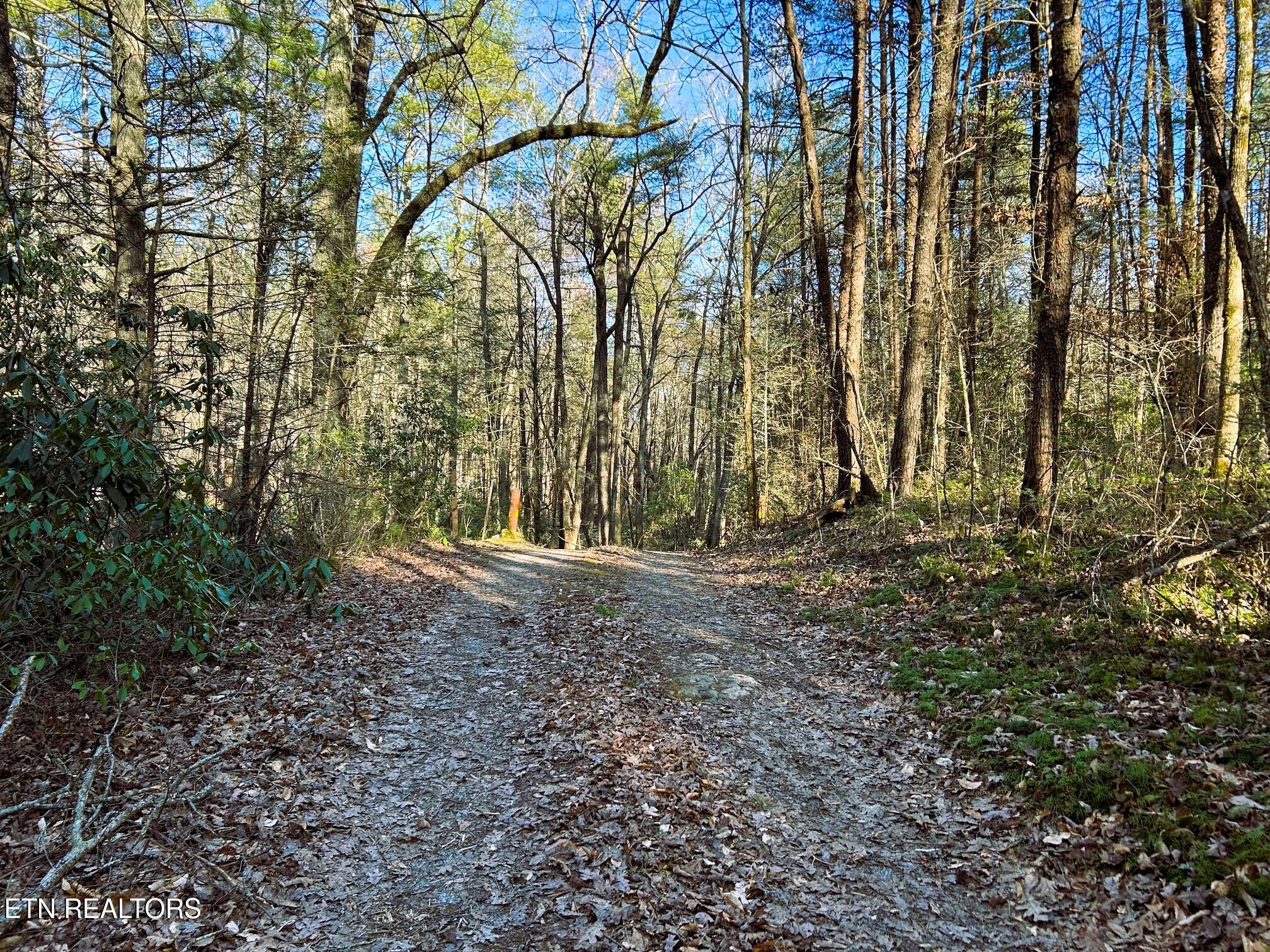00 Bullet Creek Road Property Photo 3