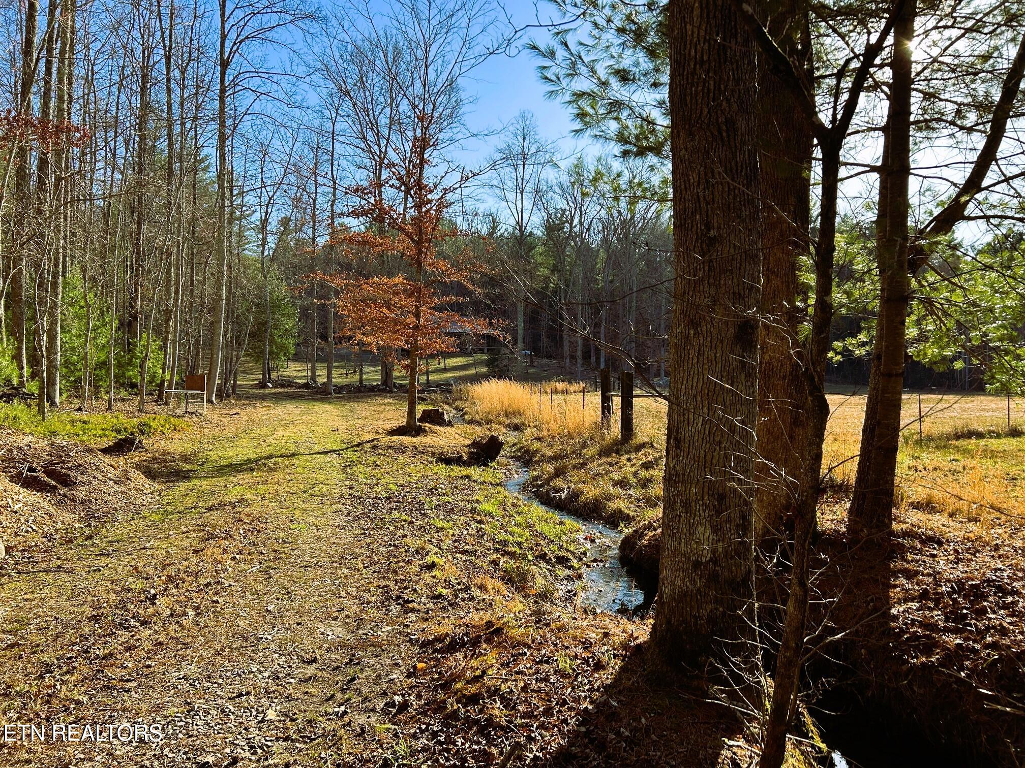 00 Bullet Creek Road Property Photo 5
