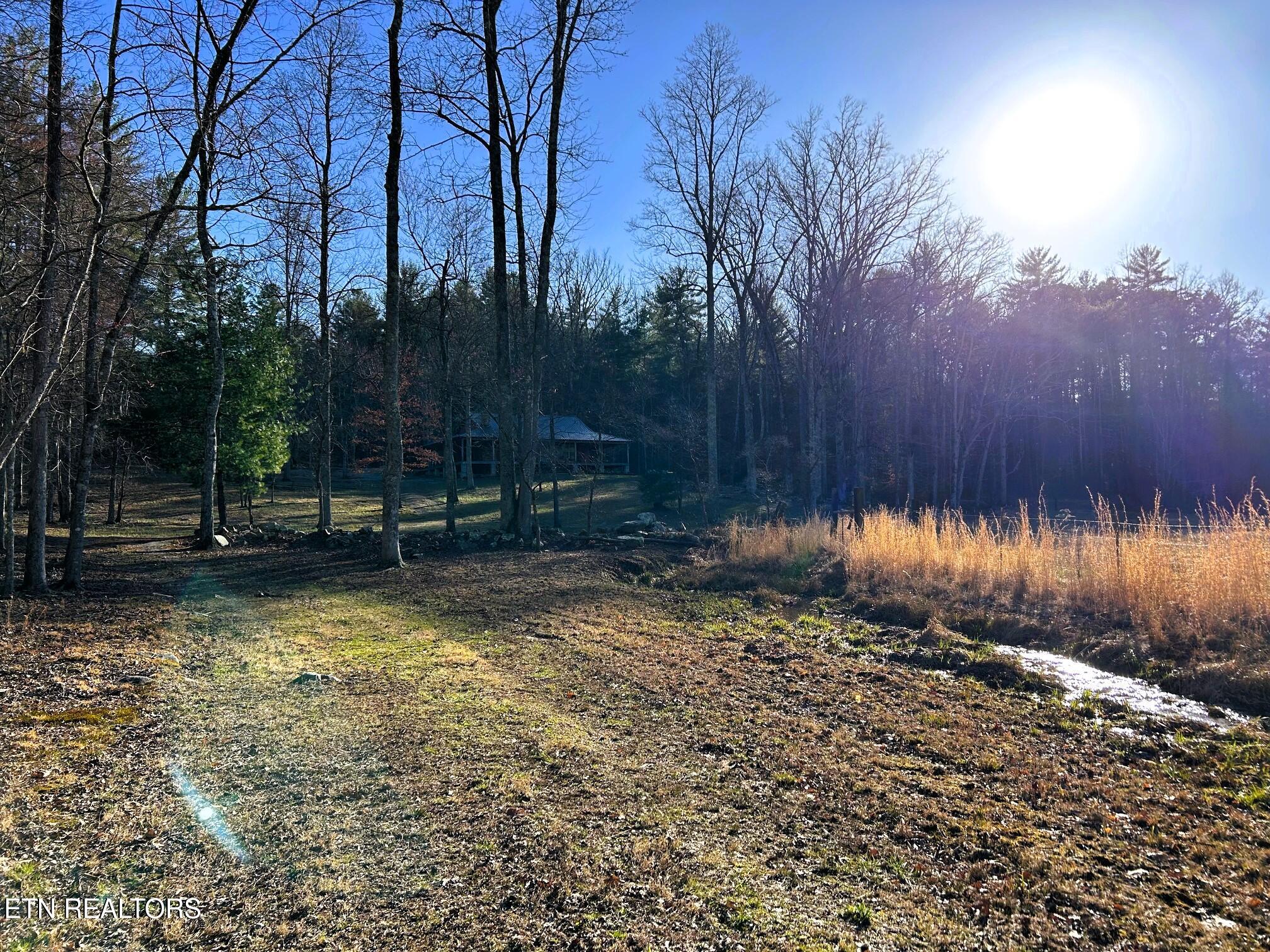 00 Bullet Creek Road Property Photo 8