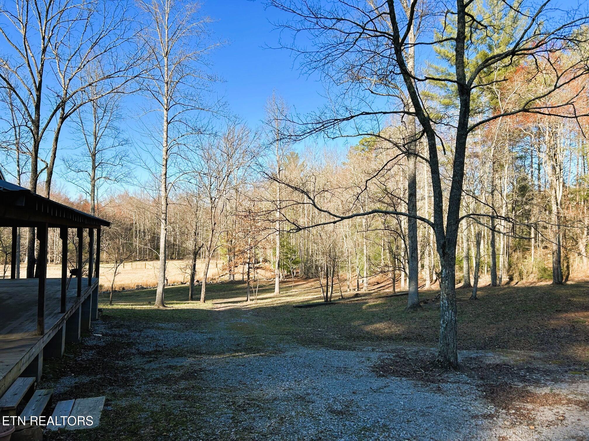 00 Bullet Creek Road Property Photo 29