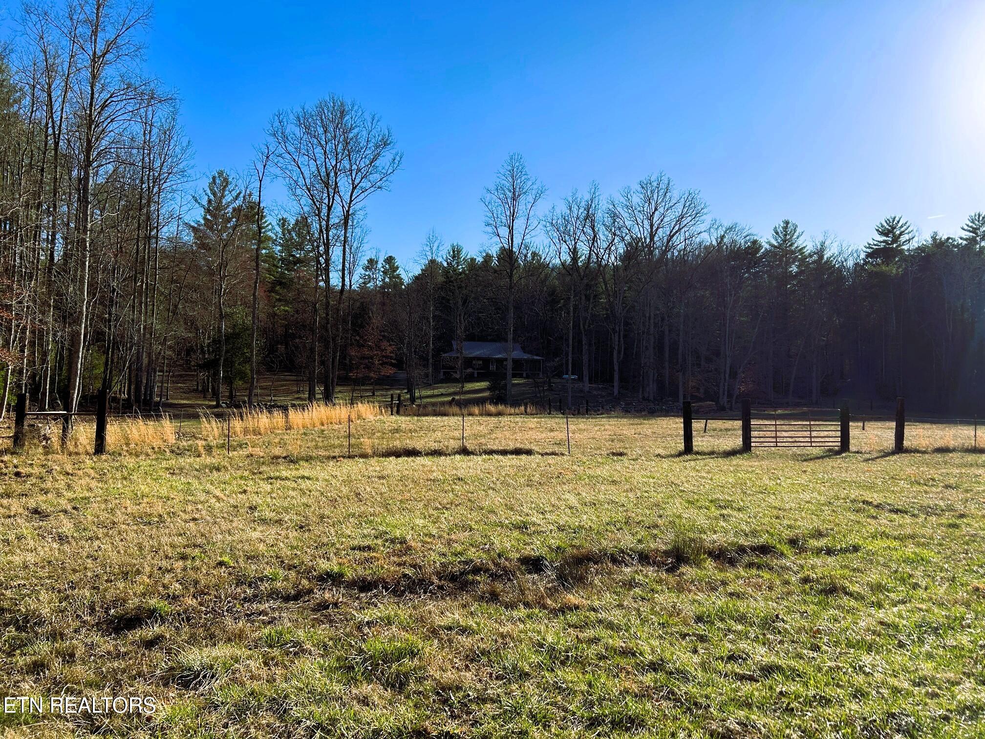 00 Bullet Creek Road Property Photo 34
