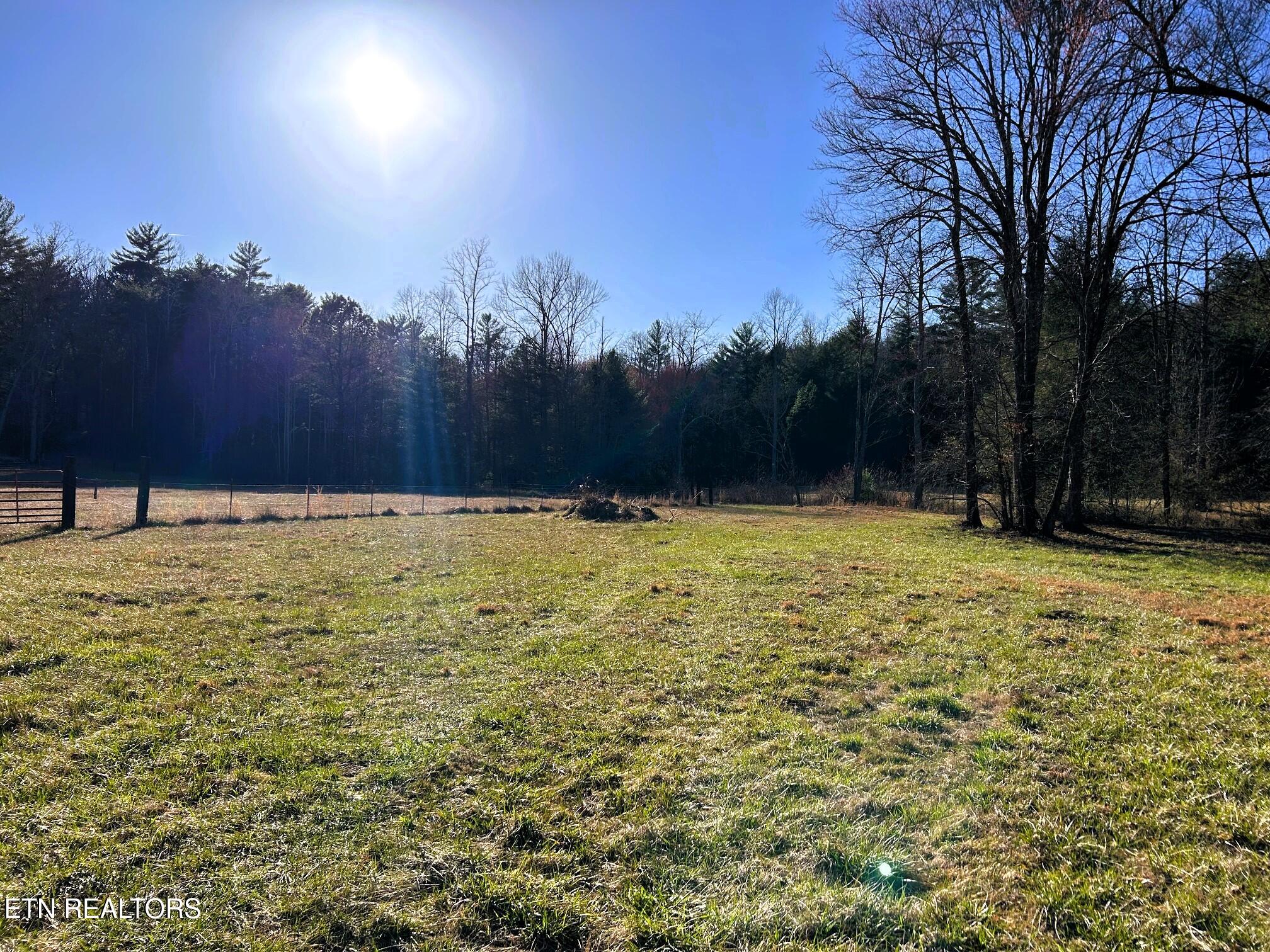 00 Bullet Creek Road Property Photo 35