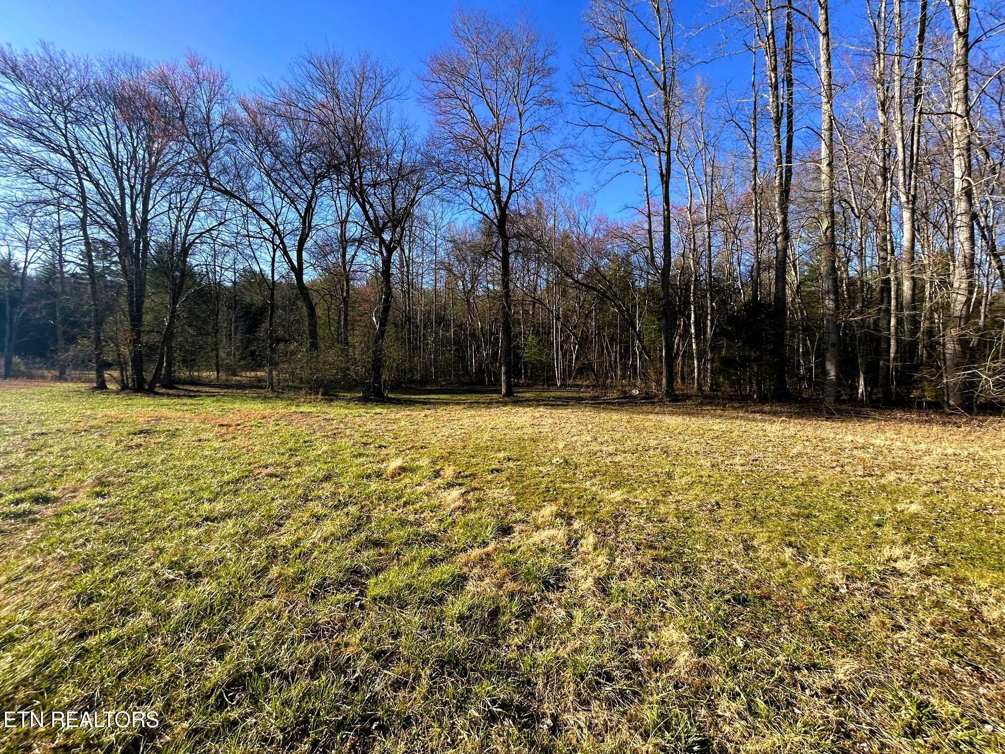 00 Bullet Creek Road Property Photo 36