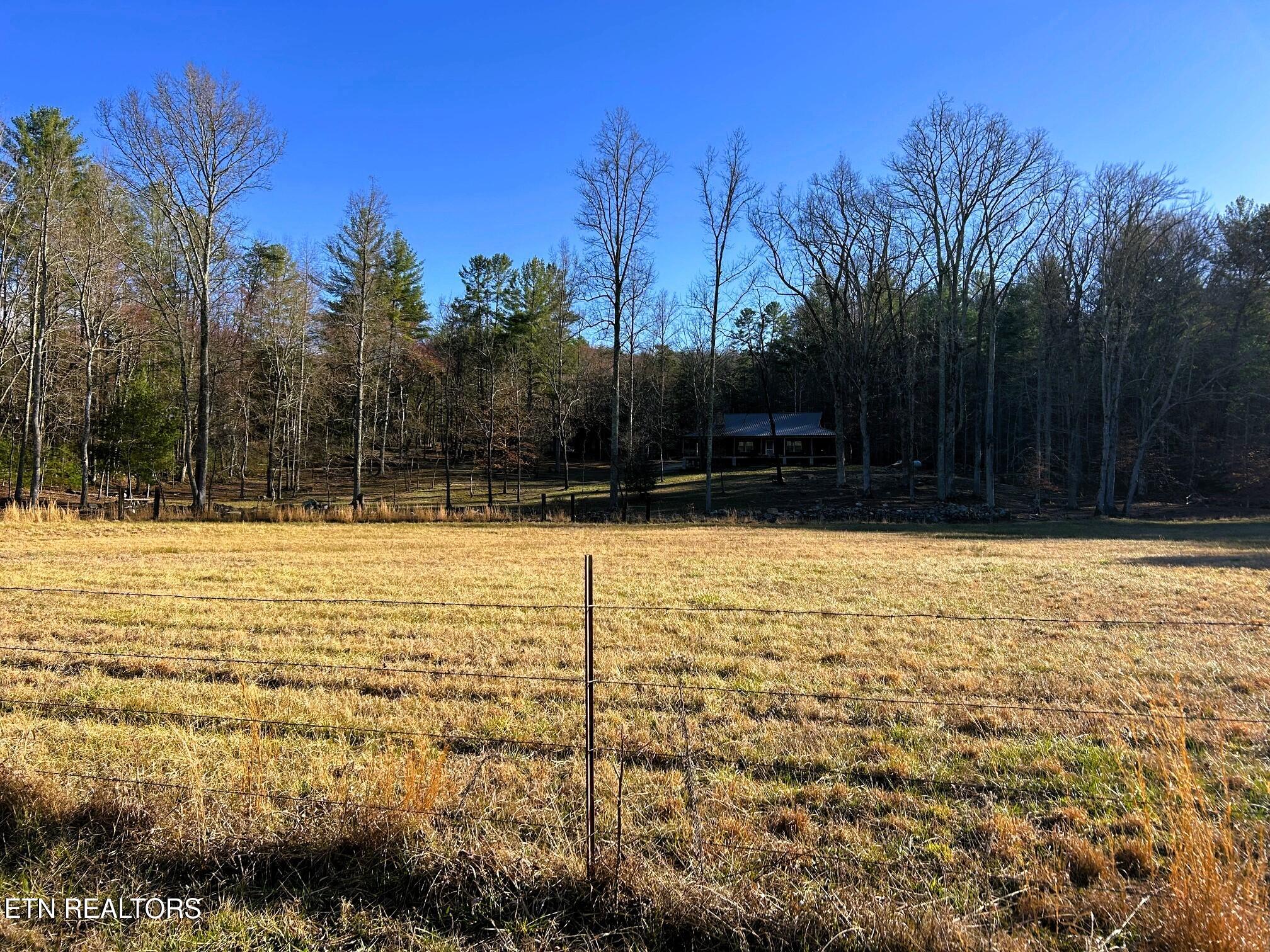 00 Bullet Creek Road Property Photo 37