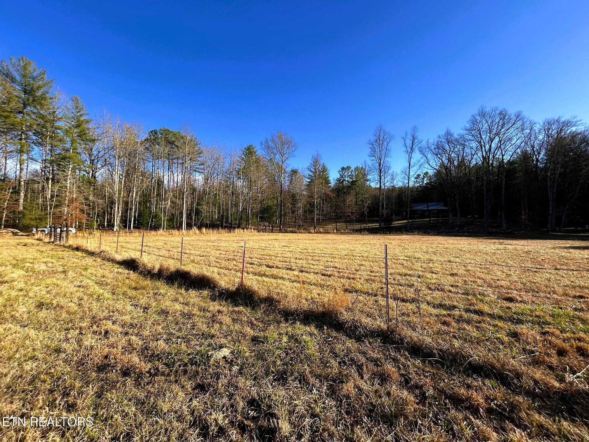 00 Bullet Creek Road Property Photo 38