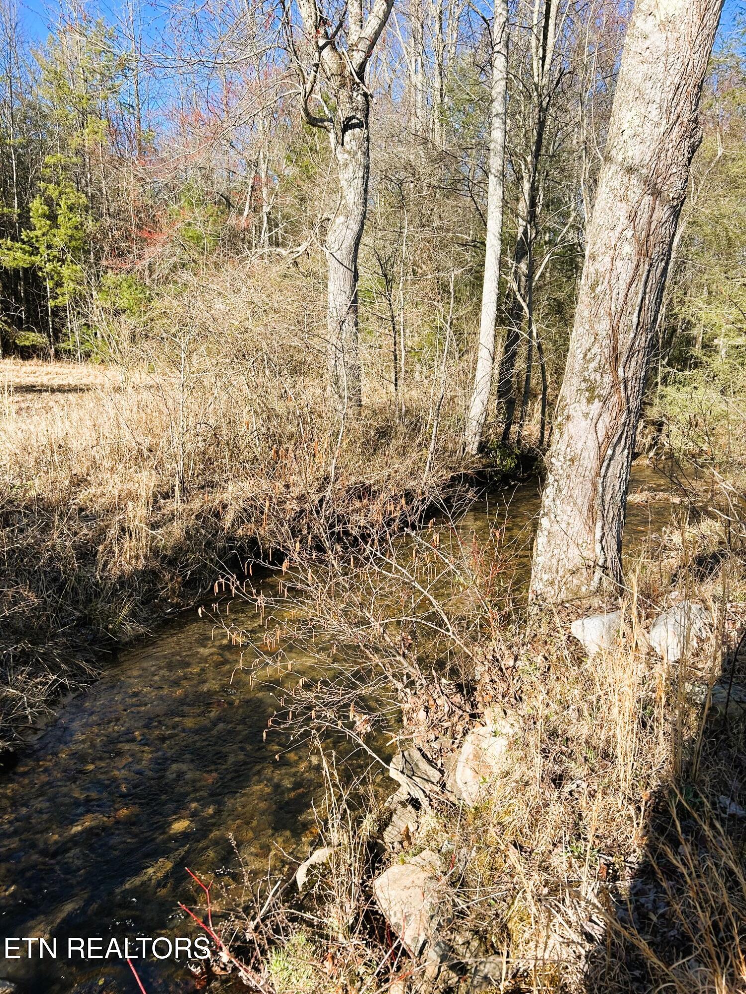 00 Bullet Creek Road Property Photo 39