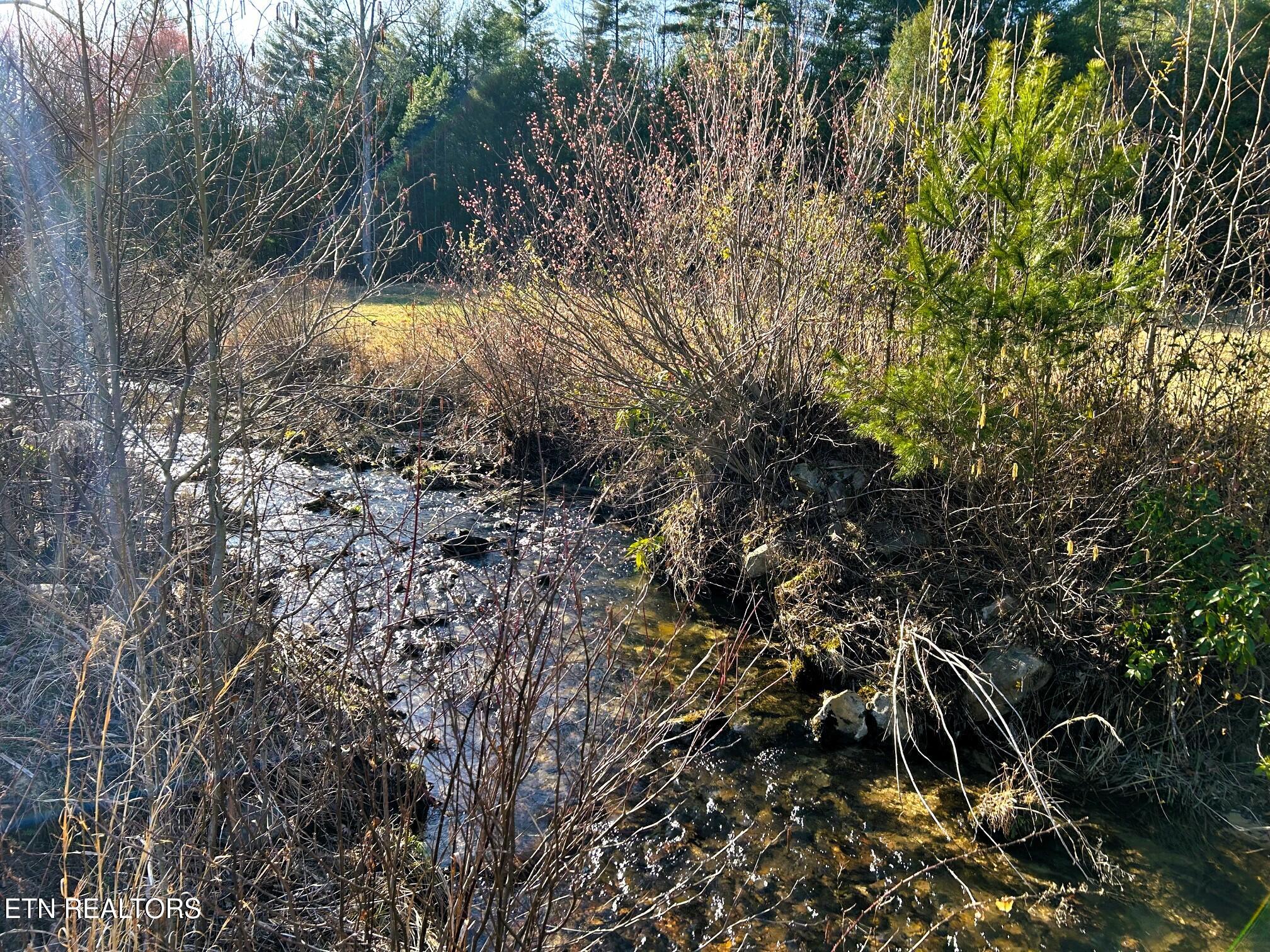 00 Bullet Creek Road Property Photo 40