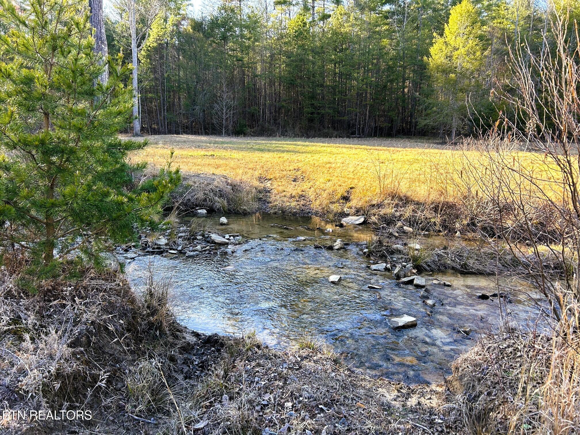 00 Bullet Creek Road Property Photo 41