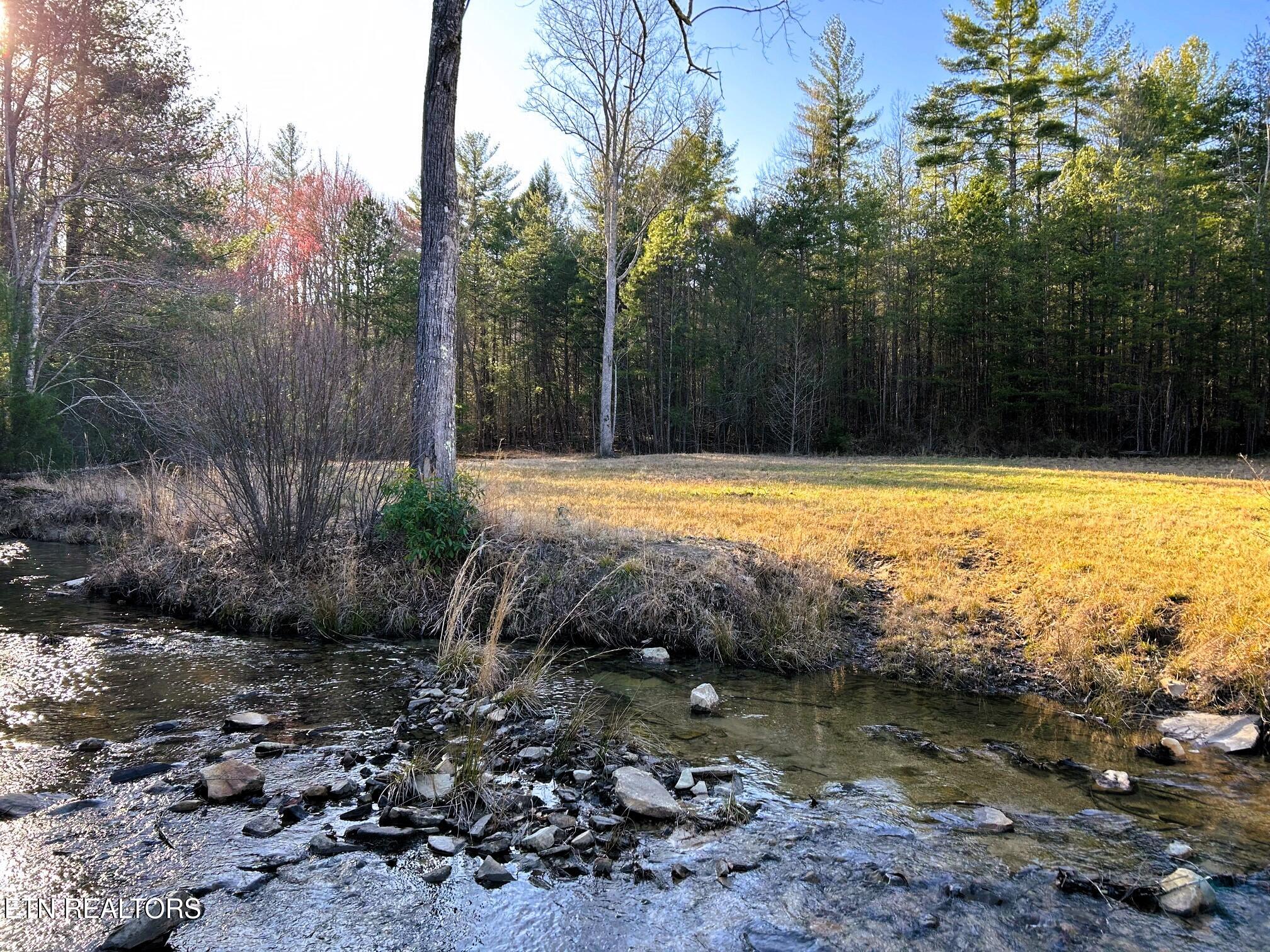 00 Bullet Creek Road Property Photo 42