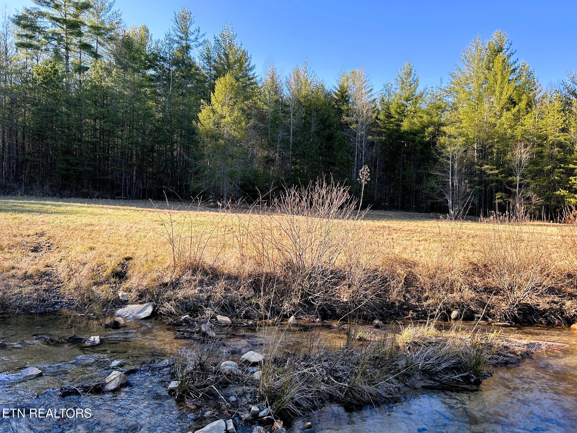 00 Bullet Creek Road Property Photo 43
