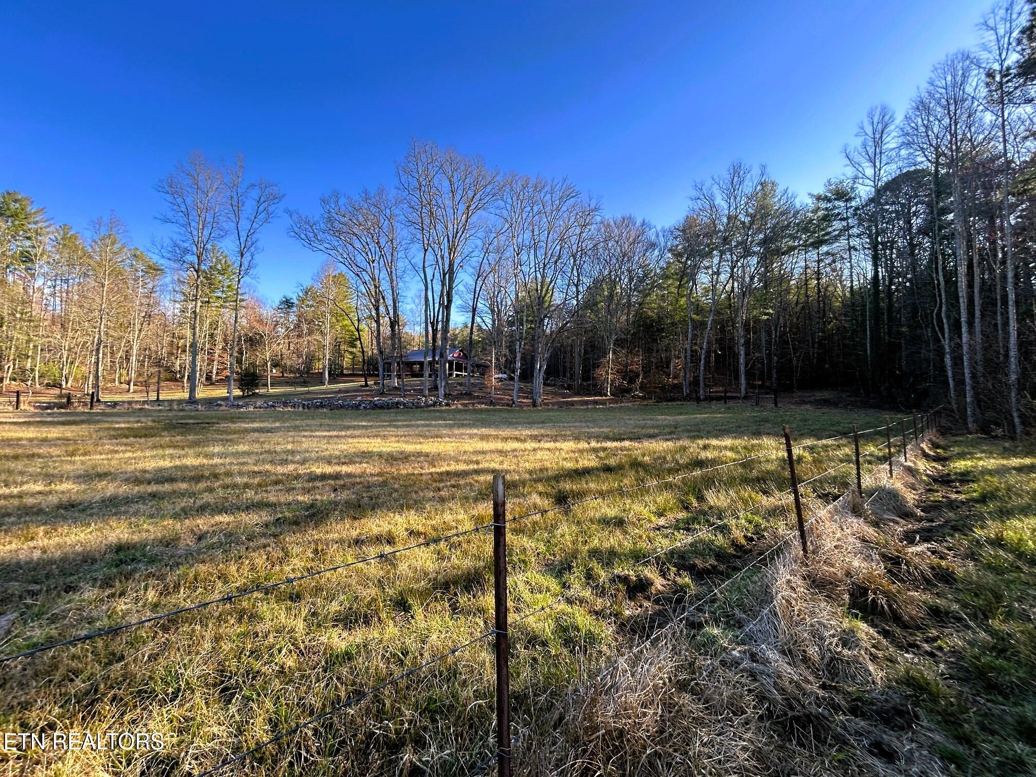 00 Bullet Creek Road Property Photo 45