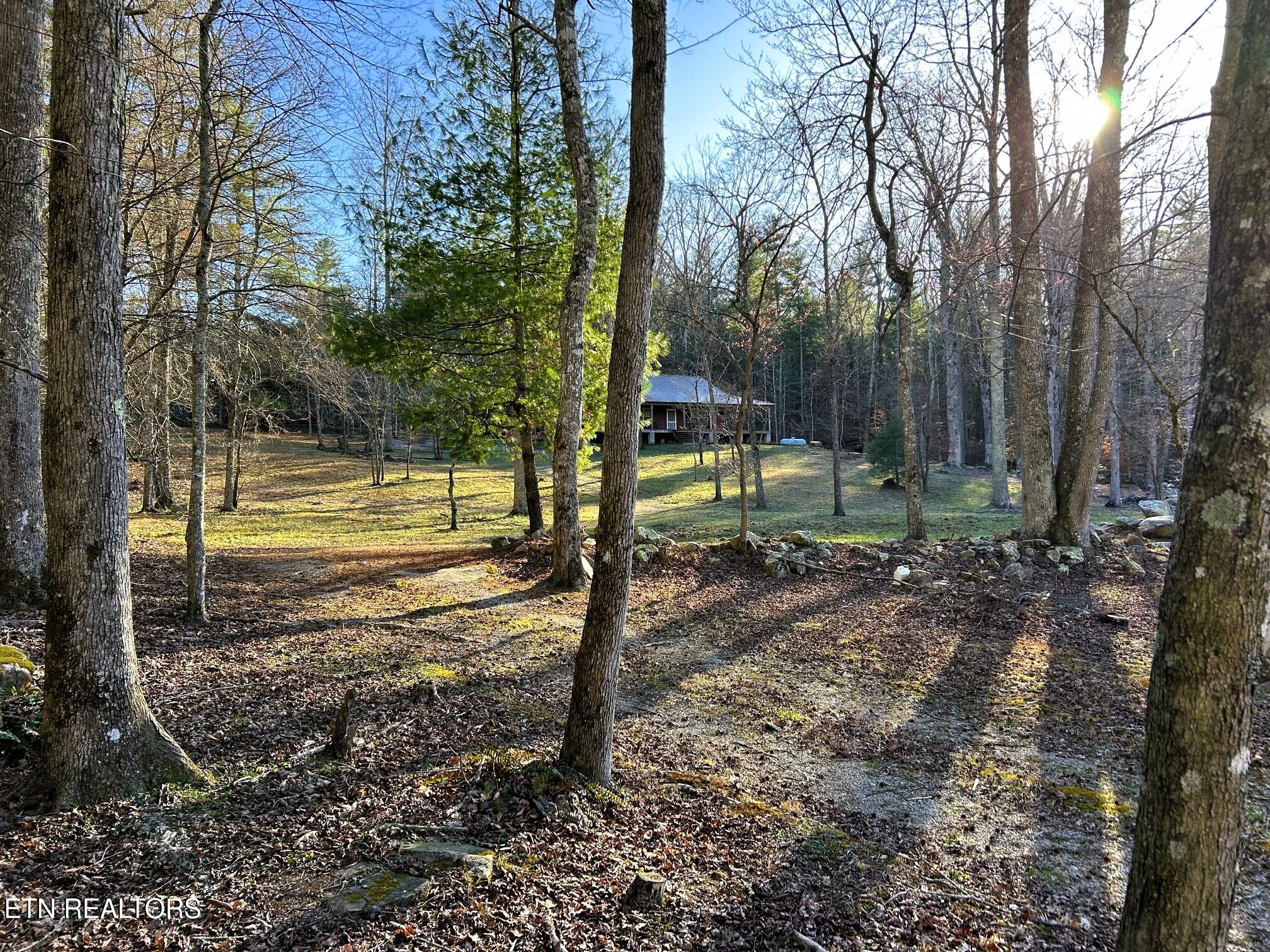00 Bullet Creek Road Property Photo 46