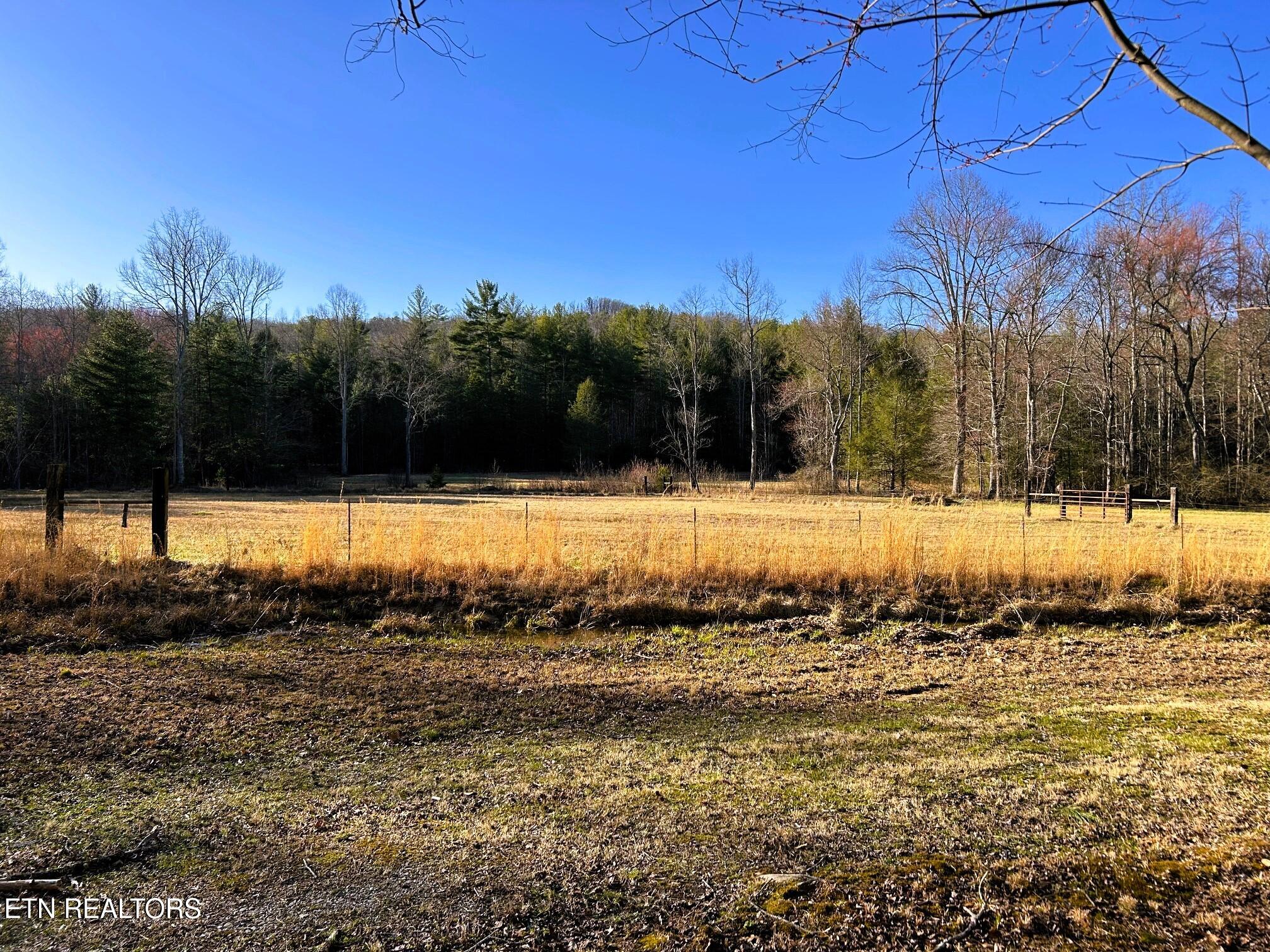 00 Bullet Creek Road Property Photo 47