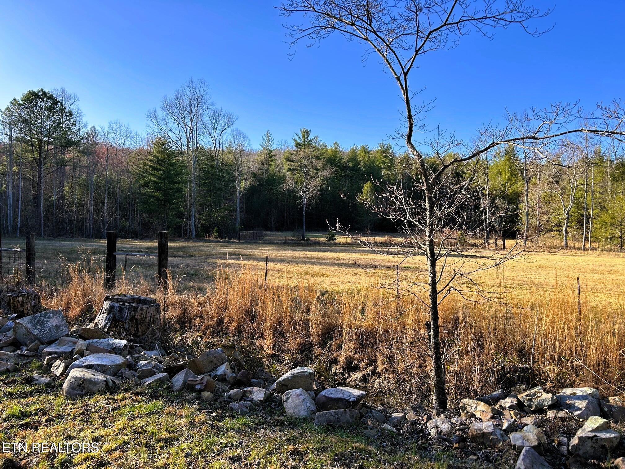 00 Bullet Creek Road Property Photo 49