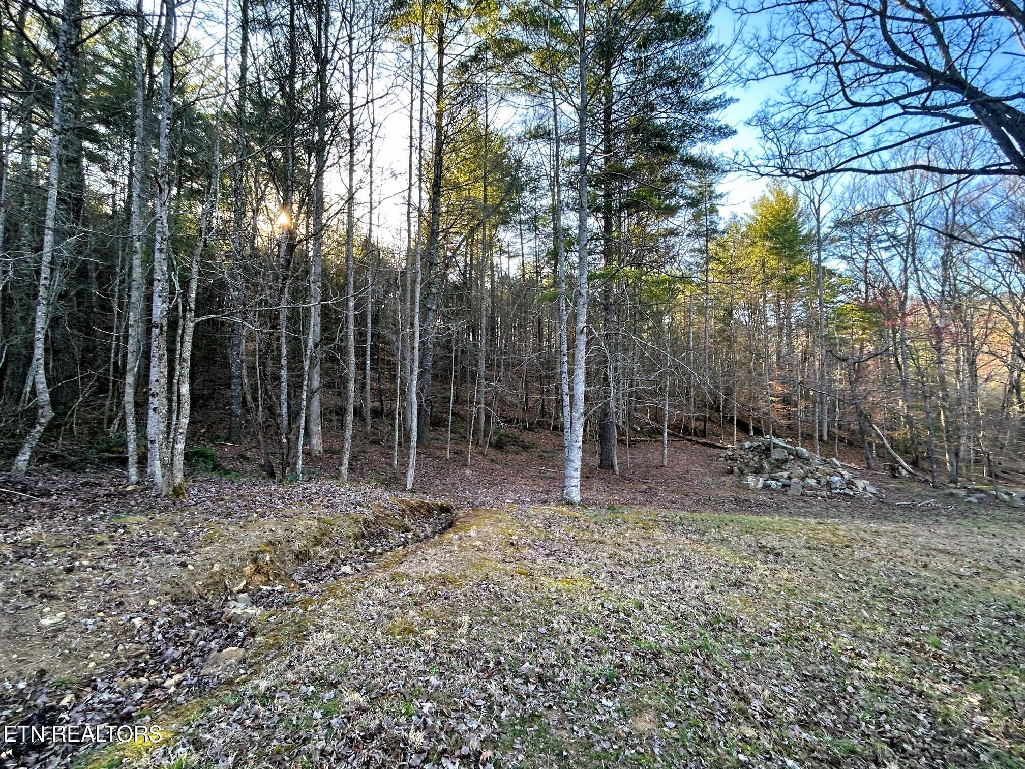 00 Bullet Creek Road Property Photo 50