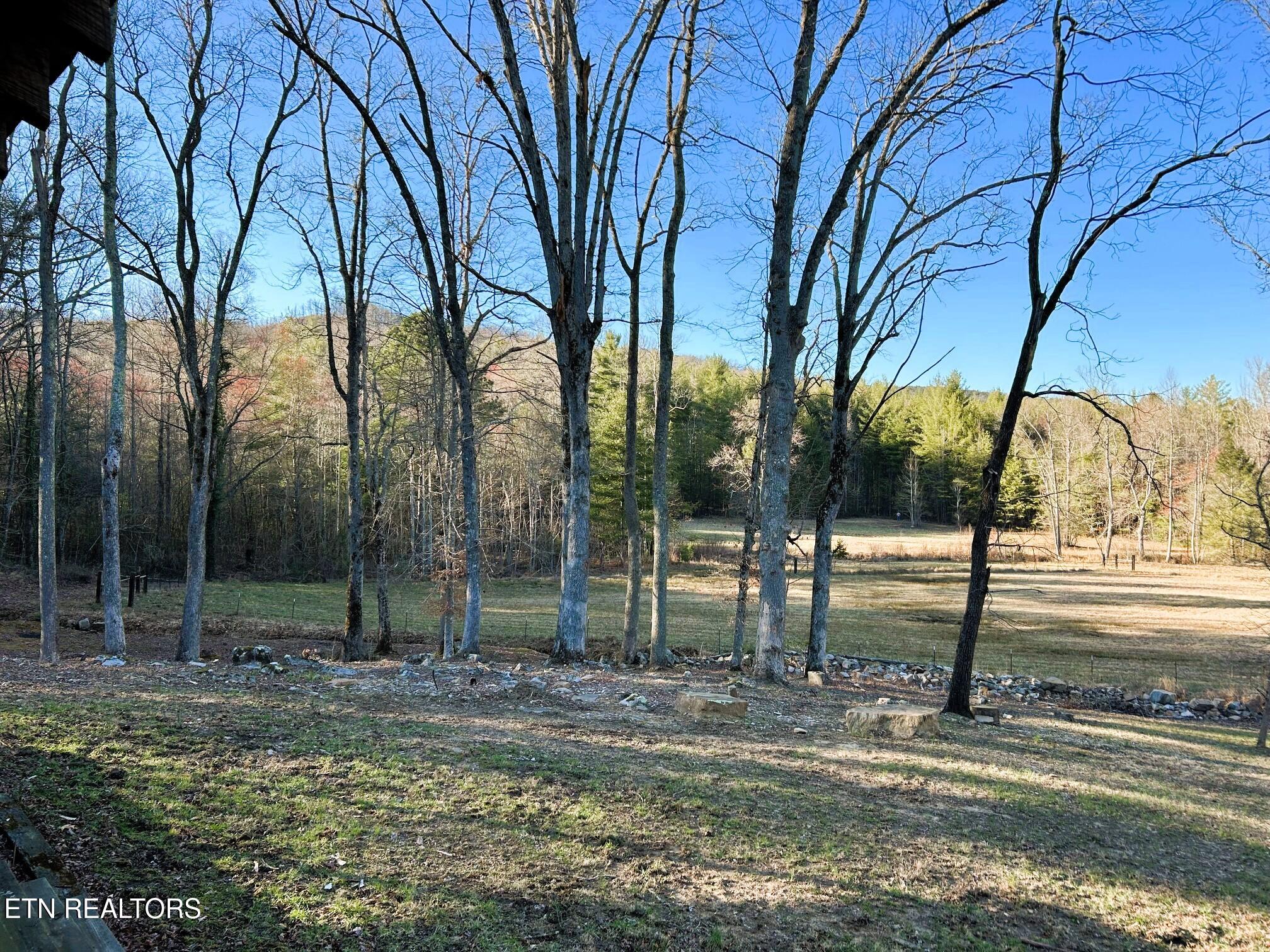 00 Bullet Creek Road Property Photo 58