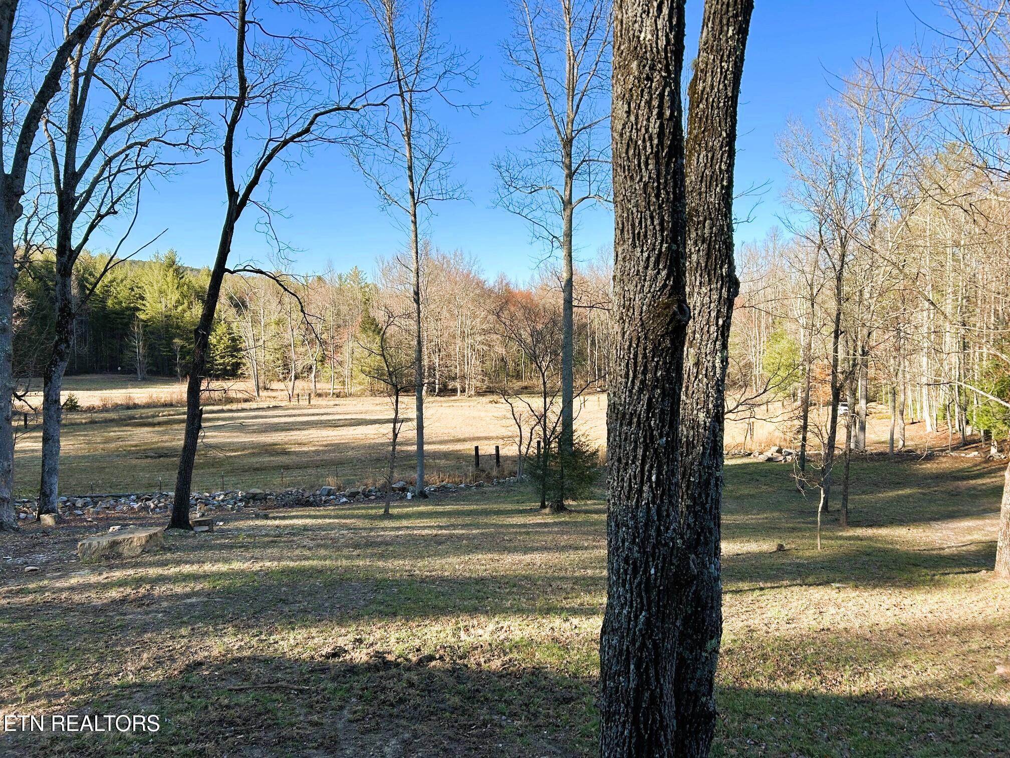 00 Bullet Creek Road Property Photo 59