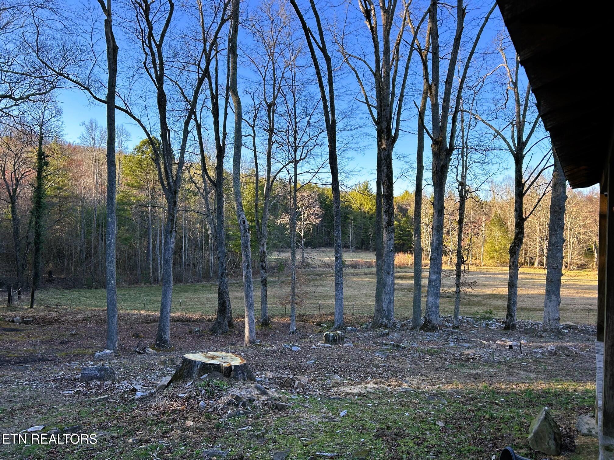 00 Bullet Creek Road Property Photo 60