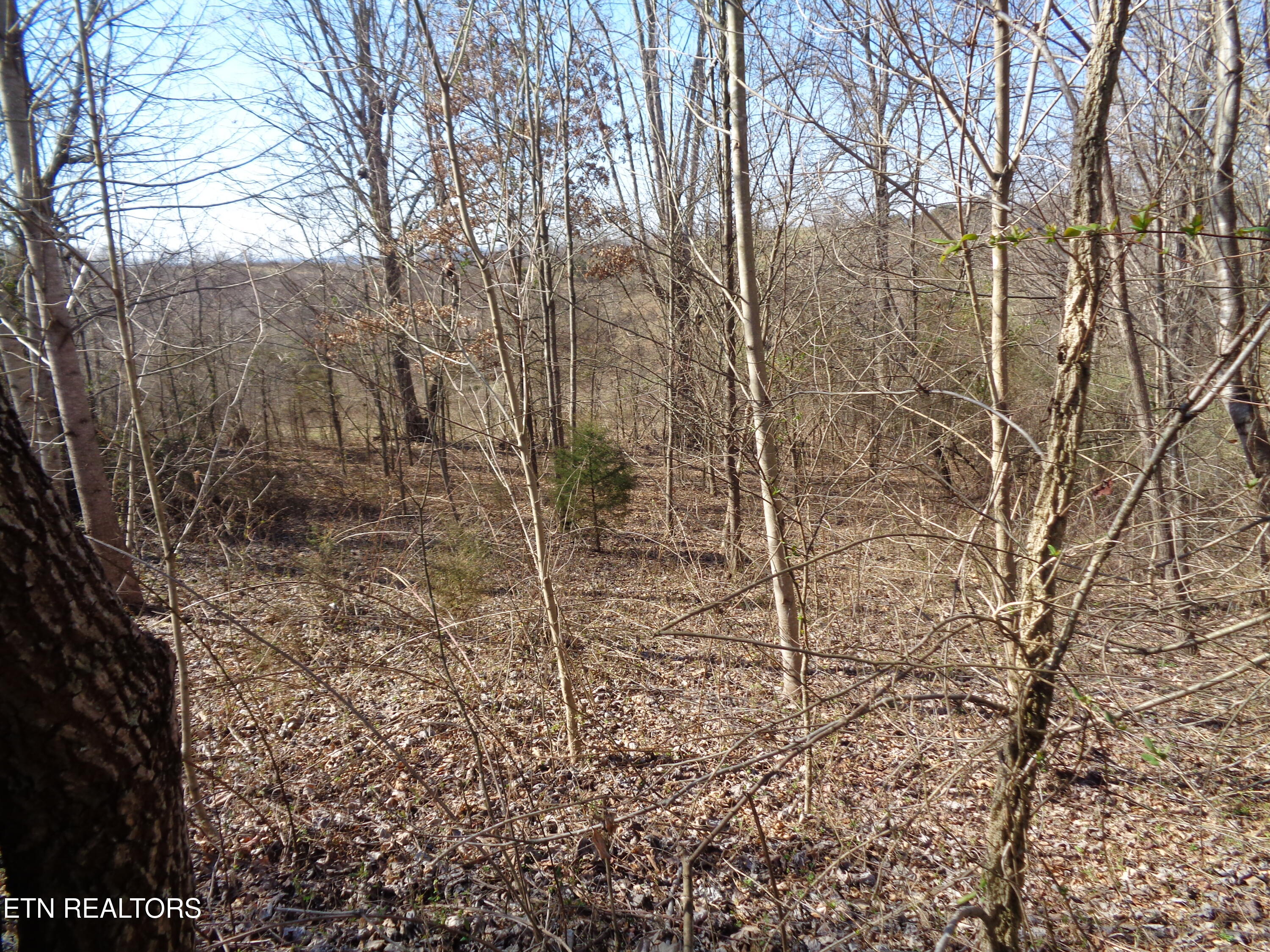 0 Holston River Dr. Property Photo