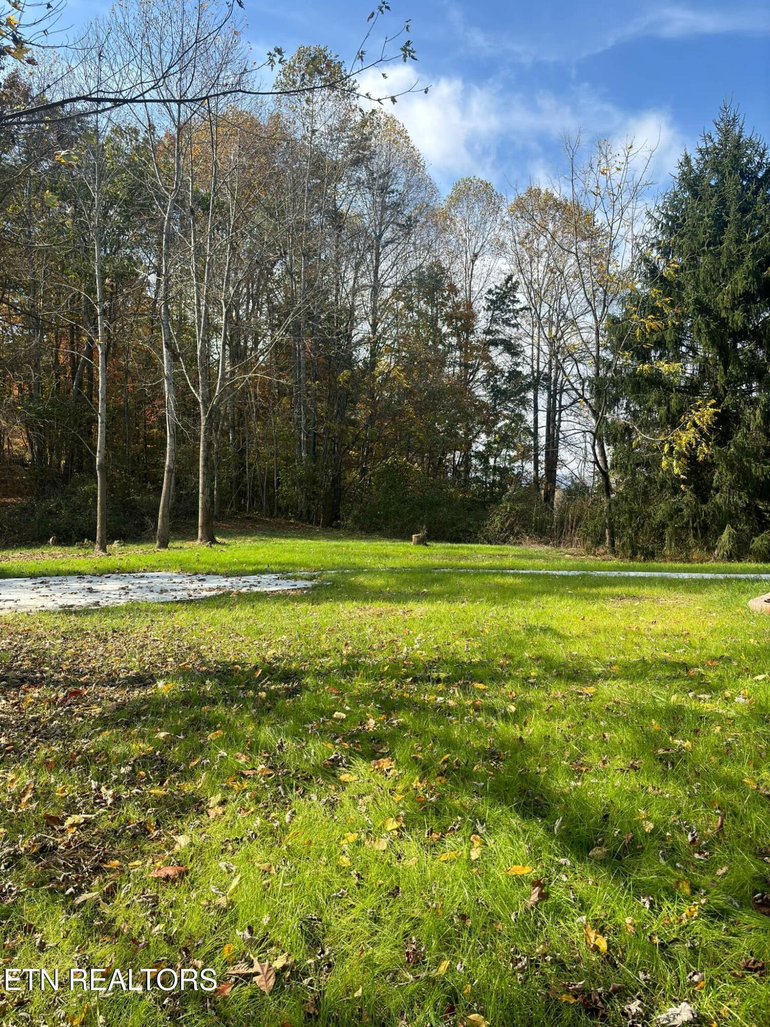 136 Log Lane Property Photo 18