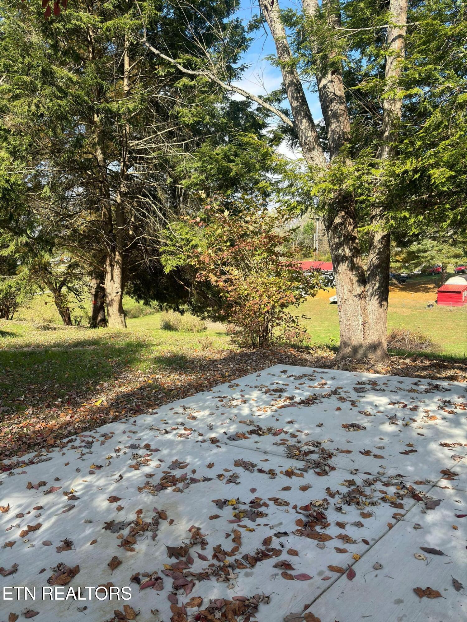 136 Log Lane Property Photo 20
