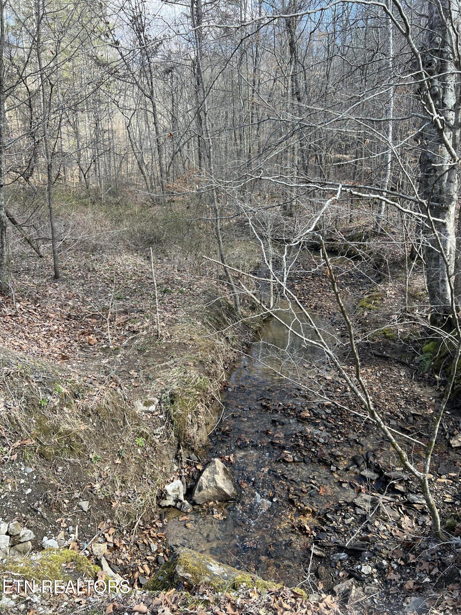 Ky 204 Property Photo