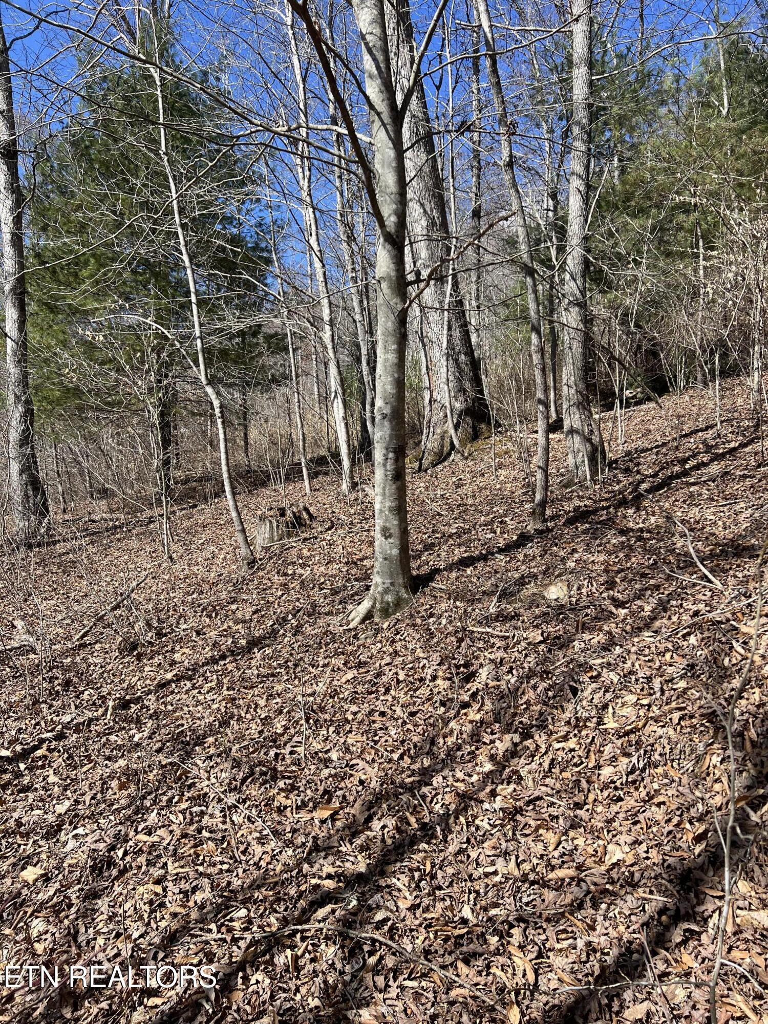Ky 204 Property Photo 3