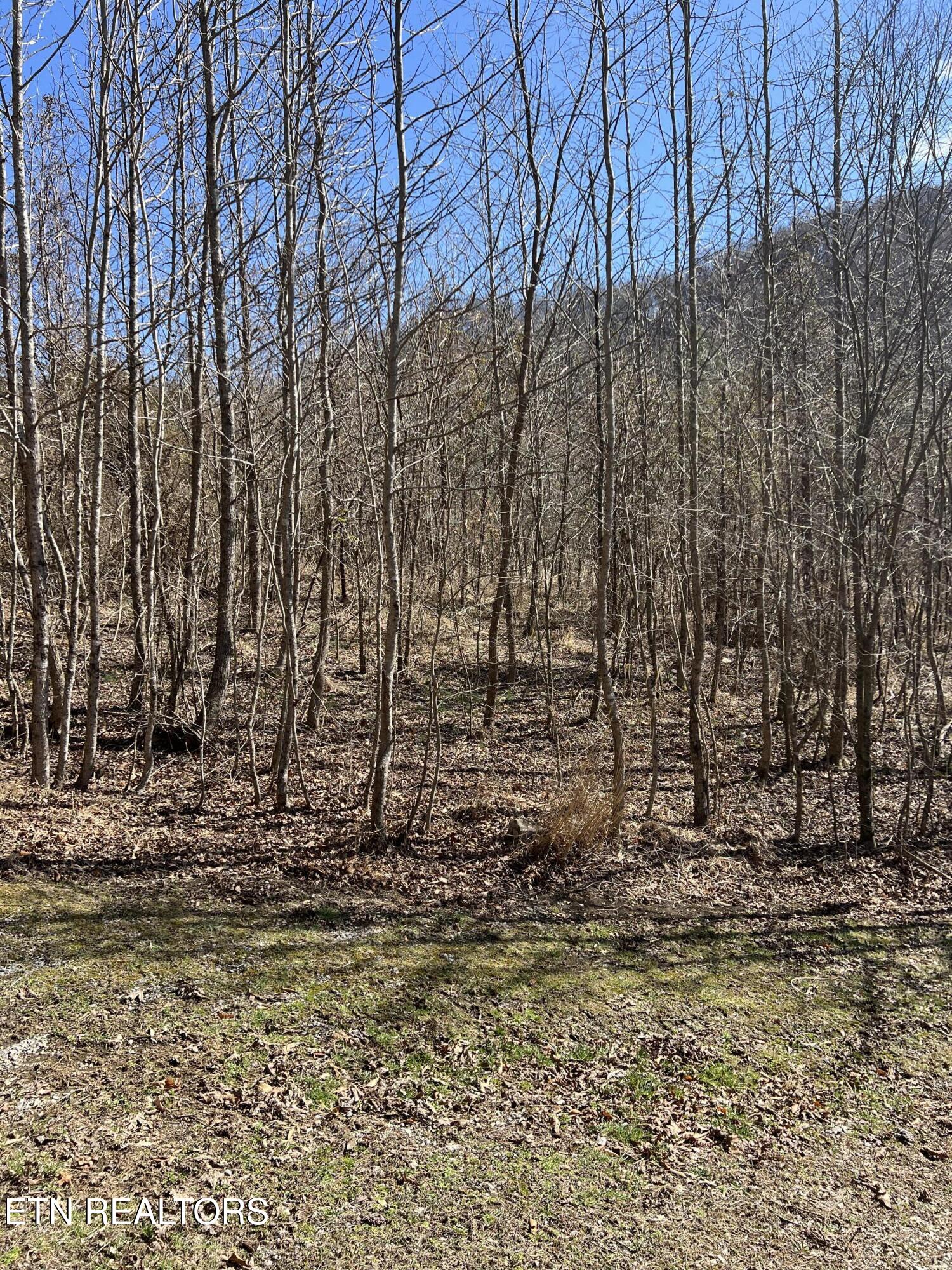 Ky 204 Property Photo 4