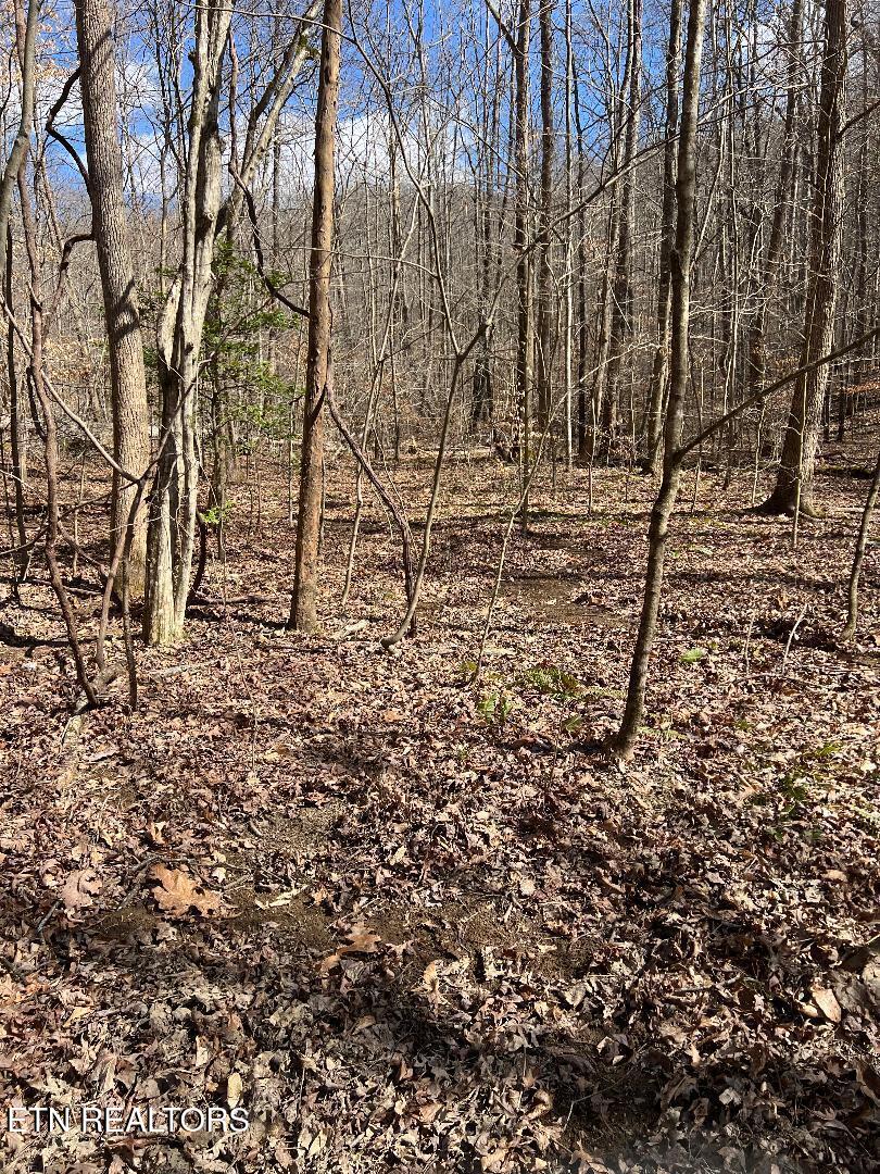Ky 204 Property Photo 11