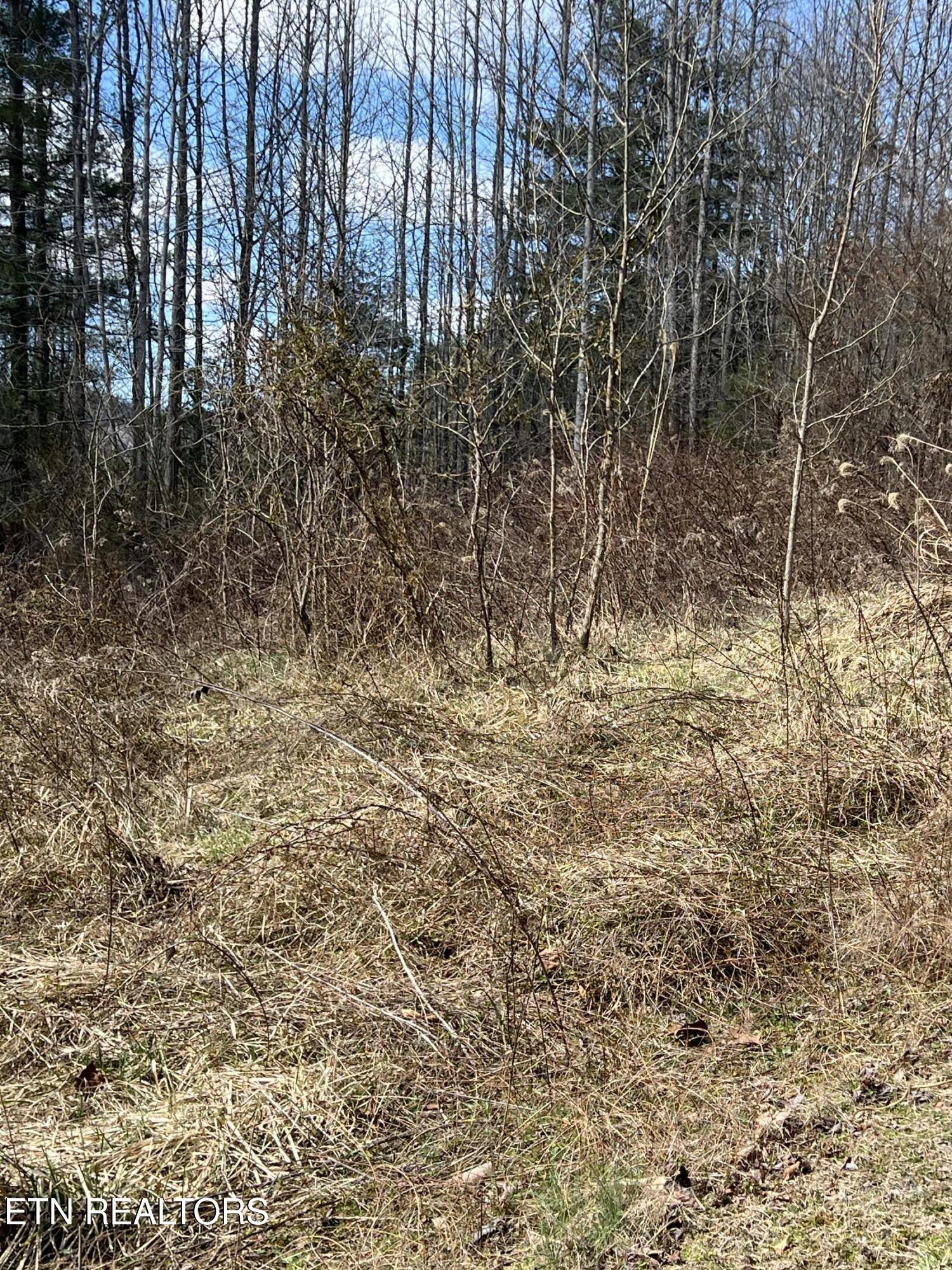 Ky 204 Property Photo 13